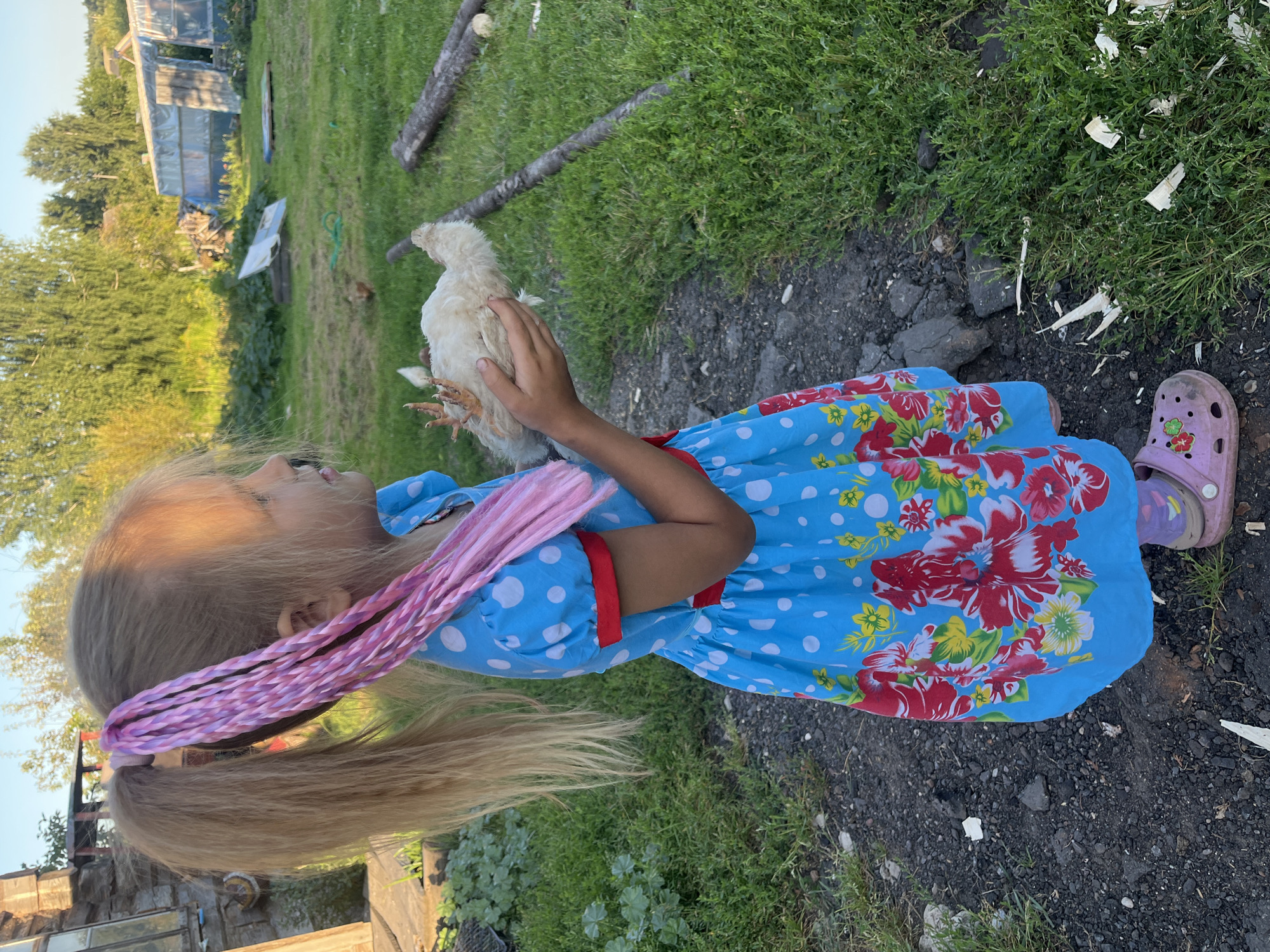 A young girl with blonde hair in two pigtails, adorned with pink braids, stands on a gravel path in a rural outdoor setting. She is wearing a blue dress with white polka dots and a floral pattern along the hem. The girl is holding a light-colored chicken in her hands. The background features a grassy area with scattered logs, a structure with a transparent roof, and trees. The ground is a mixture of dark gravel and green grass. The lighting suggests it is daytime, possibly late afternoon due to the warm light.