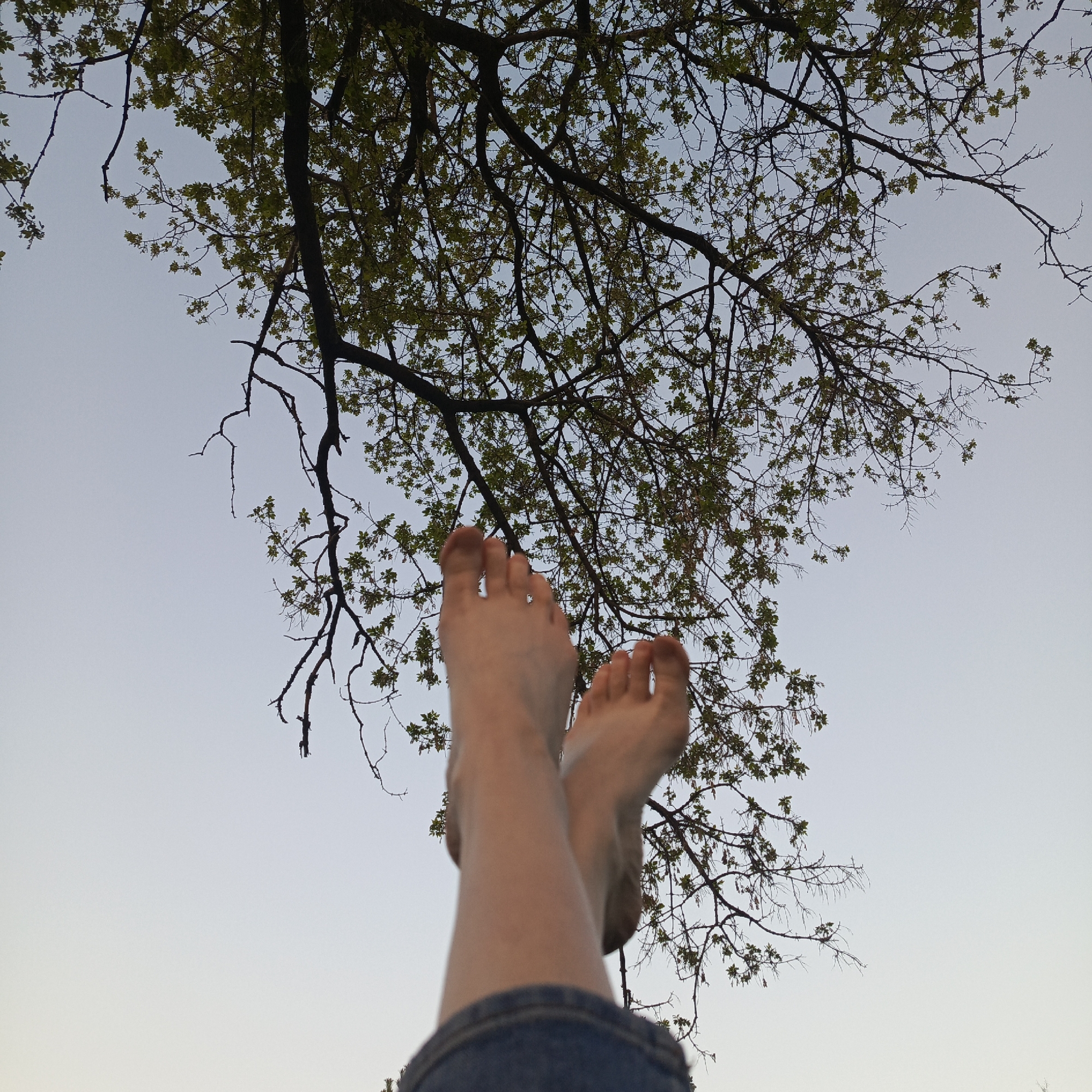 The image depicts a low-angle view of a person's legs and feet extended upwards against a sky background partially obscured by tree branches with budding leaves. The person is wearing denim shorts, visible at the bottom of the frame. The sky is pale and appears to be dusk. The location is not discernible from the image. Chaikovsky, Russia cannot be determined from the visible elements. There are no visible people. There are no observable actions.