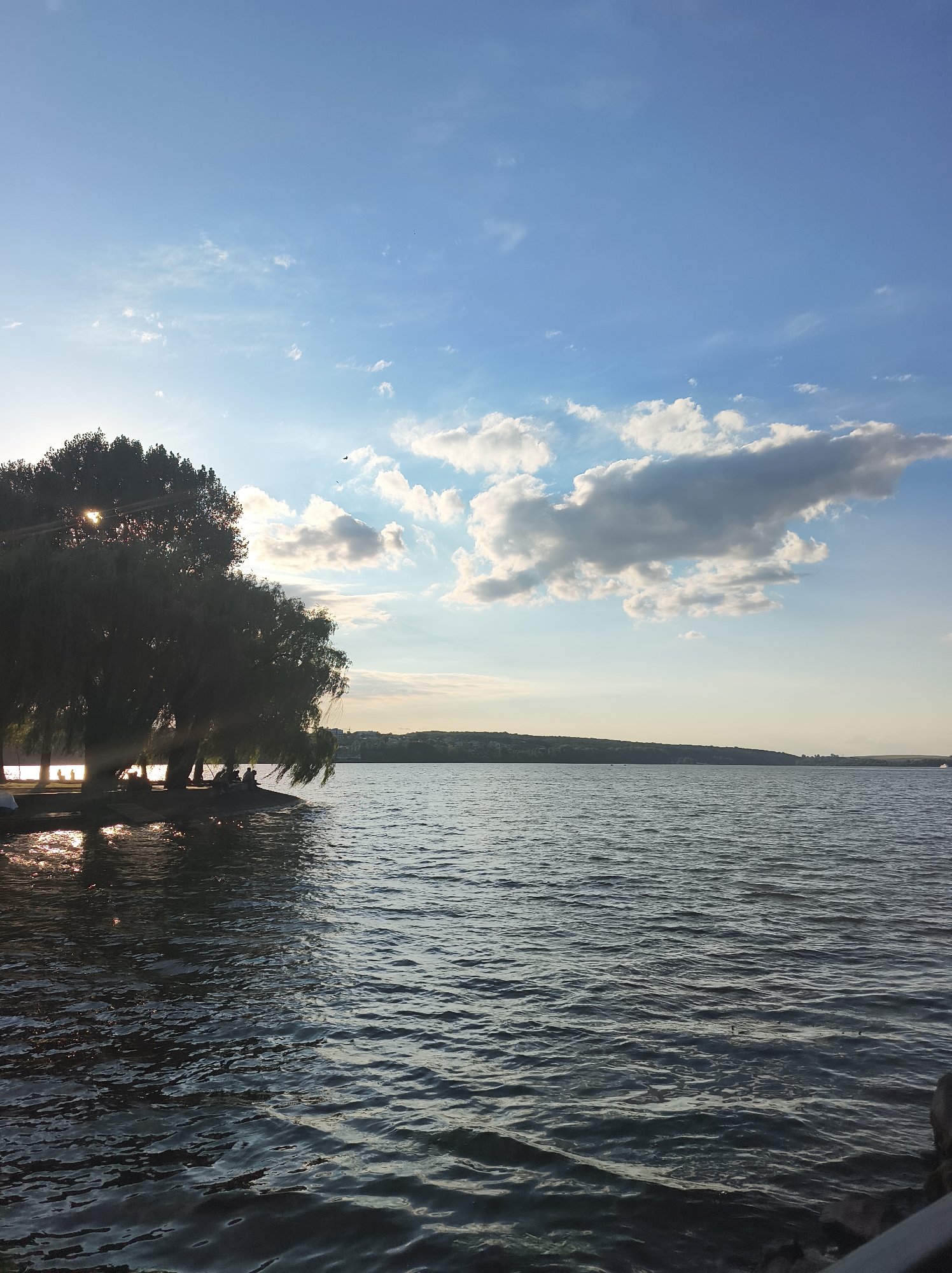 The image depicts a serene waterscape, likely on Ternopil Lake in Ternopil, Ukraine, during the late afternoon or early evening. A large, lush willow tree dominates the left side of the frame, its branches cascading towards the water and providing shade. The sun, positioned behind the tree, creates a lens flare effect, casting shimmering light onto the water's surface. Beneath the tree, several silhouetted figures are seated, appearing to be enjoying the tranquil atmosphere. The lake itself is calm, with gentle ripples reflecting the soft light of the sky. In the distance, the opposite shore of the lake is visible, lined with trees and distant buildings, suggesting an urban or semi-urban setting. The sky is a gradient of pale blue, transitioning to a lighter hue near the horizon, with scattered white clouds adding texture and depth. A few distant birds are also visible in the sky. The overall impression is one of peacefulness and natural beauty, with the lake serving as a central focal point.