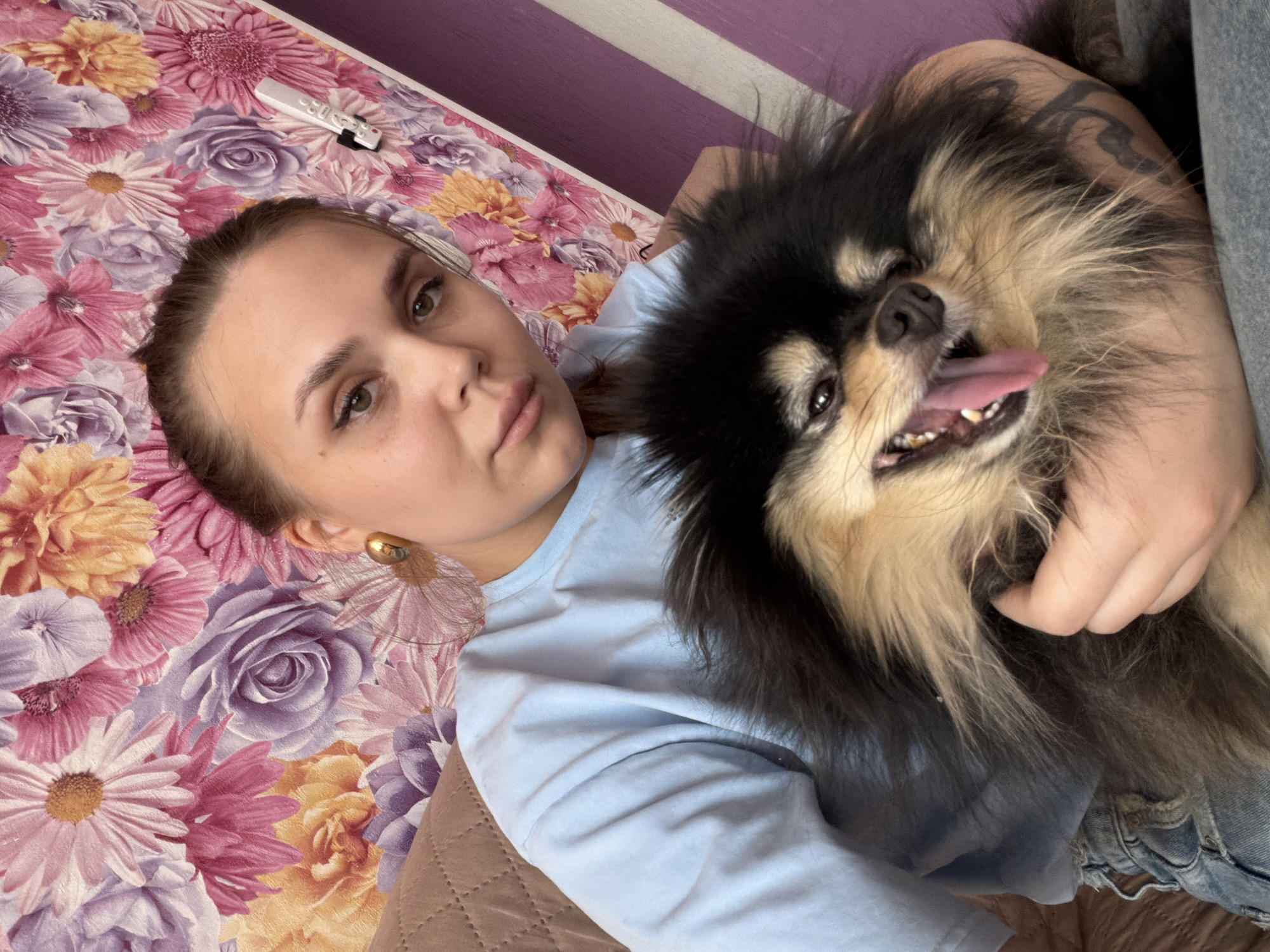The image depicts an indoor scene in Chaikovsky, Russia, featuring a young adult female holding a small dog. The female, positioned centrally and slightly to the left, has light skin, dark hair pulled back, and is wearing a light blue long-sleeved top and blue ripped jeans. A gold-colored earring is visible in her right ear, and a dark, tribal-style tattoo is partially visible on her left arm. She looks directly at the camera with a neutral expression. The dog, identified as a black and tan Pomeranian, is held by the female with its head turned towards the right. Its mouth is open, tongue extended, and eyes are partially closed. The background consists primarily of a wall covered in wallpaper featuring large floral patterns in shades of pink, purple, yellow, and white. A segment of a brown, quilted sofa or armrest is visible on the left. A white remote control is affixed to the floral wallpaper in the upper right portion of the frame, adjacent to a narrow vertical section of purple and white striped wall.