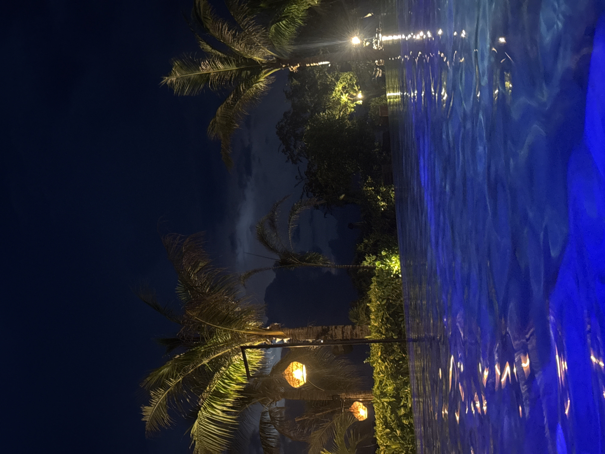 At night in Unknown, Indonesia, the scene showcases a body of water reflecting nearby illumination. Two prominent palm trees stand on one side, interspersed with decorative lights. The night sky is visible in the background. The environment exhibits the natural and artificial elements of a tropical resort or similar venue.