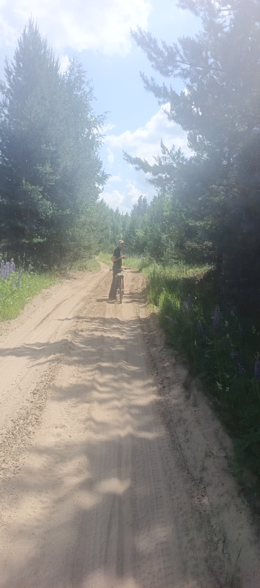 A person stands on a dirt road in a forested area. The person, dressed in dark clothing and a baseball cap, is facing away from the camera and is partially obscured by a bicycle. The road is sandy and appears to have tire tracks. Trees line both sides of the road, with some lupine flowers visible on the left side. The sky is blue with some clouds, and sunlight filters through the trees, casting shadows on the road. The image appears to have been taken during the daytime. The specific location in Bol'shoi Bukor, Russia, is not discernible from the image alone.