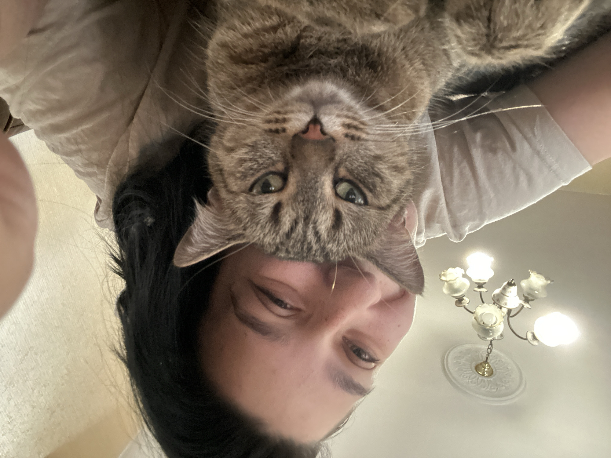An indoor scene within a residence in Sofia, Bulgaria, captured from a low, upward-angled perspective. The primary subjects are a person and a domestic short-haired tabby cat. The person, with dark hair, is visible on the upper left and right, smiling with one eye slightly closed, and wears a light-colored t-shirt. Her face is partially obscured by the cat positioned directly in front. The cat, exhibiting a brown and grey striped tabby pattern, occupies the central foreground, looking directly at the camera with a neutral to slightly stern expression. Its green eyes, pink nose, and prominent white whiskers are clearly visible. The cat's front paws are tucked. Above the subjects, a white ceiling features a decorative medallion from which a multi-armed chandelier with five illuminated bulbs is suspended. To the right, a textured, light-colored wall is visible. The interaction depicts the person holding or embracing the cat closely.