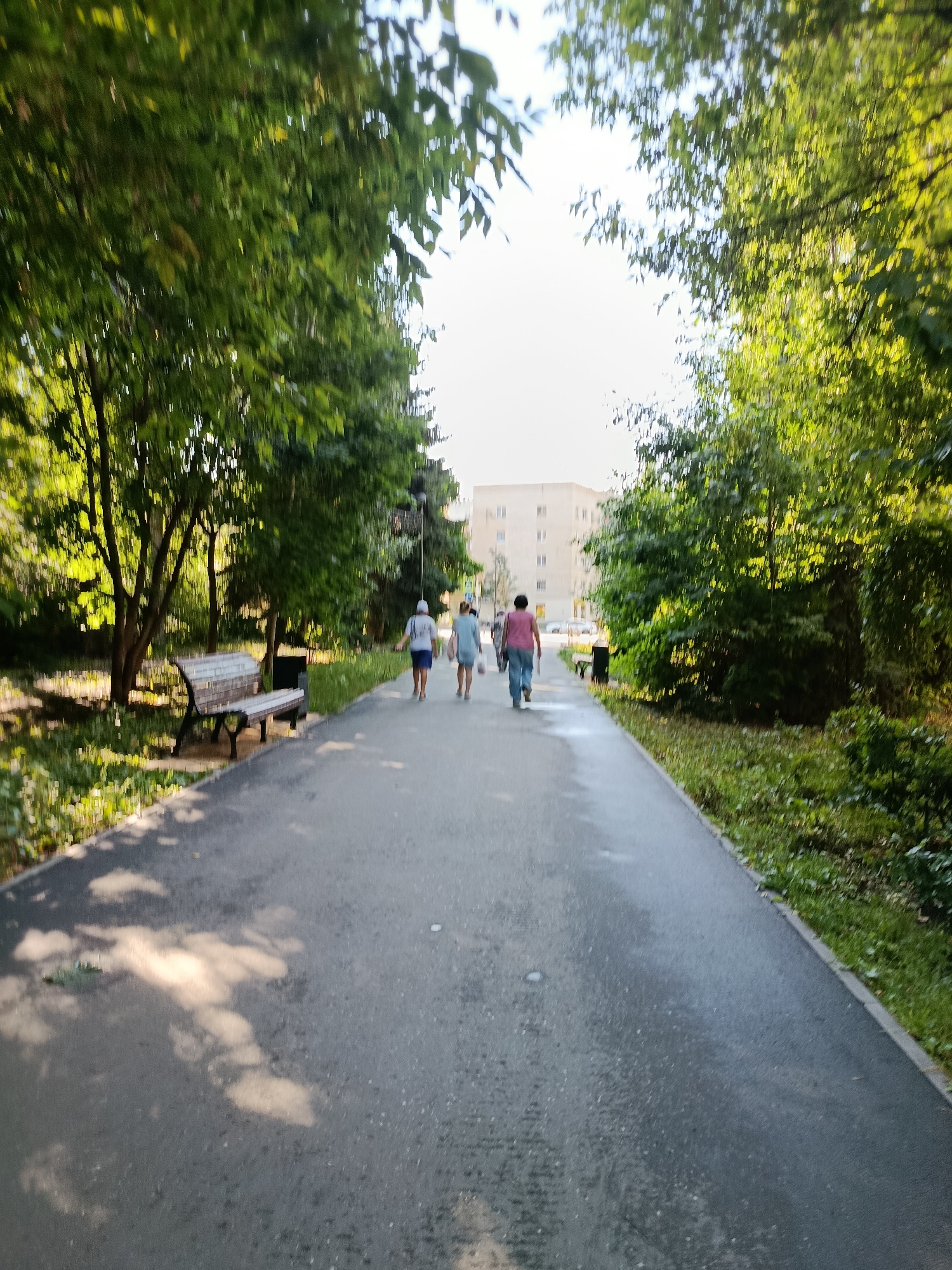 The image shows a paved walkway in a park-like setting, possibly in Saratov, Russia, lined with mature trees and green foliage. In the background, a multi-story building with white walls and numerous windows is visible. On the left side of the walkway, there is a wooden bench with a dark trash receptacle next to it. Three individuals are walking away from the camera down the walkway. The person in the lead is wearing a pink shirt and blue jeans, followed by a person in a light blue dress, and a third person in a light blue shirt and dark shorts. The sun is casting shadows on the walkway, indicating it is daytime. The scene appears to be a typical urban park on a pleasant day.