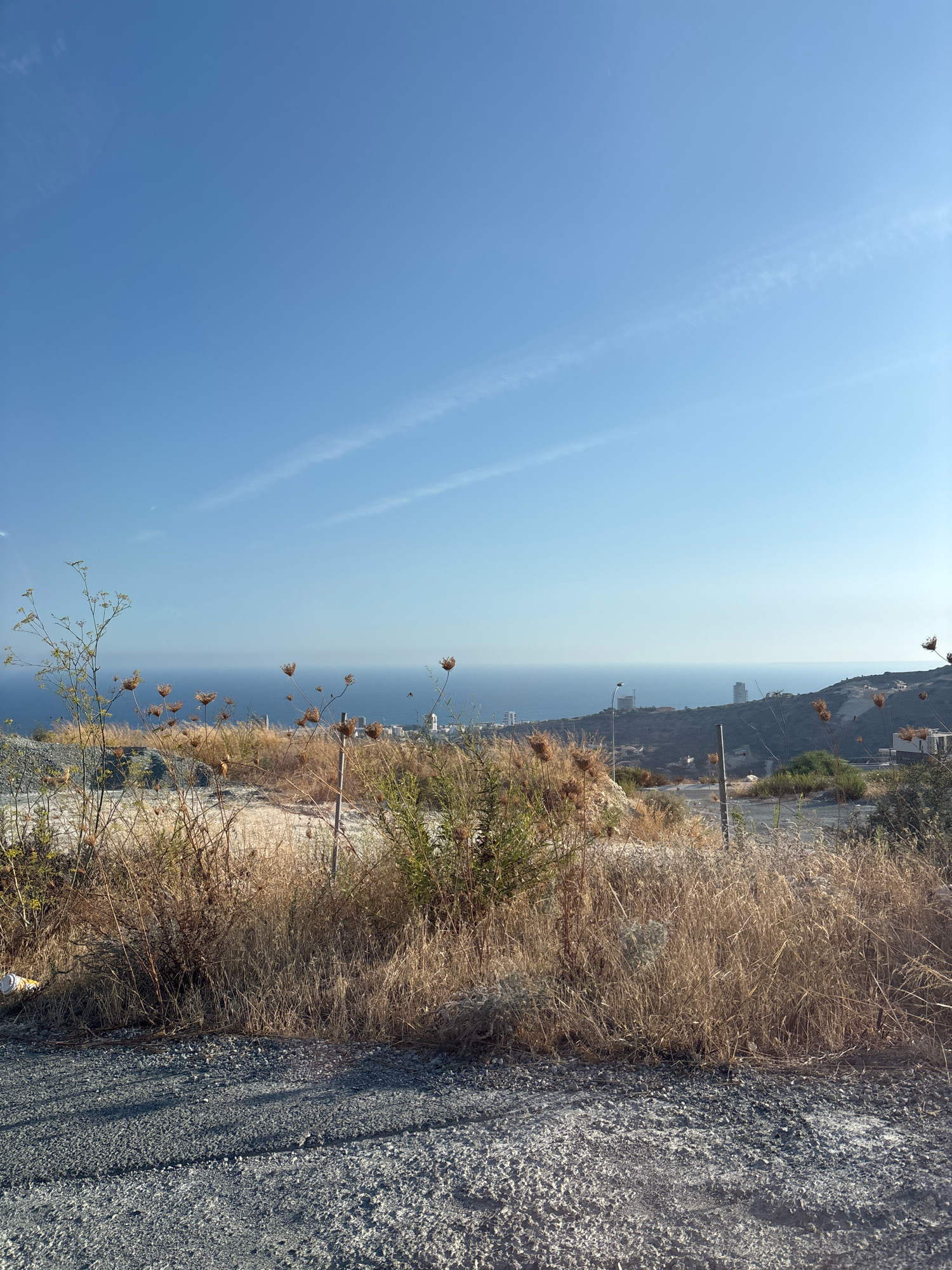 A landscape image captures a view of the sea and a coastal town on a clear, sunny day. The foreground is dominated by dry, brown grass and a few tall, spindly plants with seed heads. A grey, gravelly surface, possibly a road or path, runs across the bottom of the frame.
In the middle ground, the land slopes down towards the sea, with scattered buildings and what appear to be construction sites. A few taller, modern buildings are visible in the distance, suggesting a developed area. The sea is a deep blue, meeting the horizon under a clear, pale blue sky with faint wispy clouds.
The overall impression is one of a dry, possibly arid, coastal environment with a mix of natural vegetation and urban development. The lighting suggests it is likely morning or late afternoon, given the long shadows cast by the foreground vegetation. The scene is peaceful and still, with no people or animals visible. The specific location in the Agios Tychona Community, Cyprus, is inferred from the context provided.