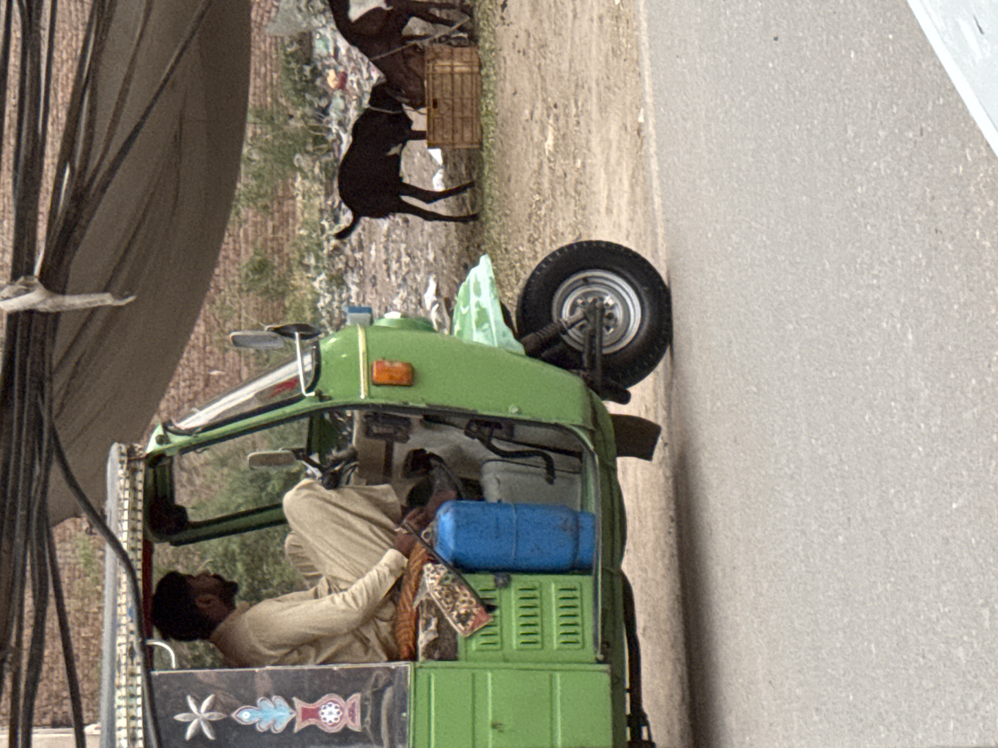 The image shows a green auto-rickshaw parked on a paved street in Unknown, Unknown. The driver, a dark-haired man wearing a light-colored outfit, is sitting inside. Behind the rickshaw, two goats are standing on a dirt area with some trash and a wooden crate.