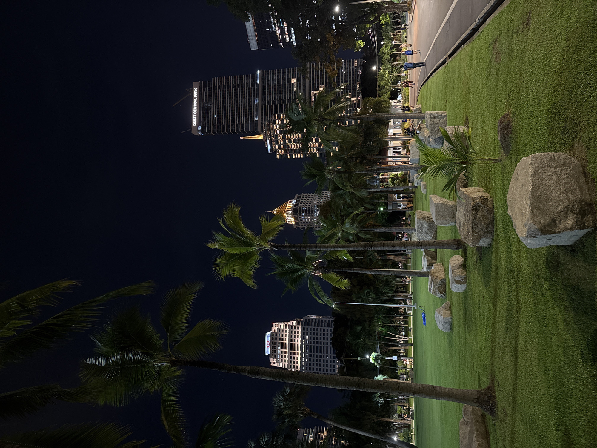 The image depicts a nighttime scene in Bangkok, Thailand, specifically at the Dusit Central Park. The park features a long, rectangular green lawn dotted with palm trees and large rocks. A paved pathway runs alongside the lawn, with faint figures of people walking and relaxing. The Dusit Central Park building rises prominently in the background, illuminated with lights. Other high-rise buildings are visible in the distance, adding to the city skyline. The sky is dark, indicating the late hour.