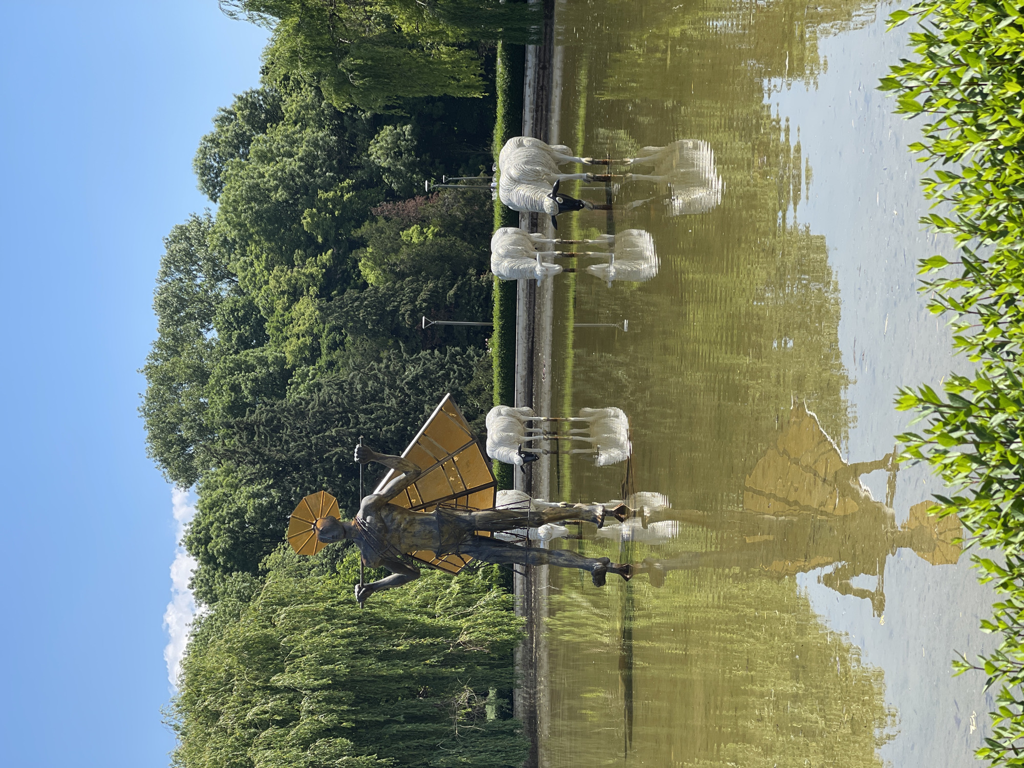 The image shows a pond in Sofia, Bulgaria, reflecting a sculpture of Icarus, along with other sculptures of sheep. The Icarus sculpture is a golden-colored figure with wings, positioned as if in flight. Further back in the pond are a group of white sheep sculptures. The pond is surrounded by green trees. The sky is blue.