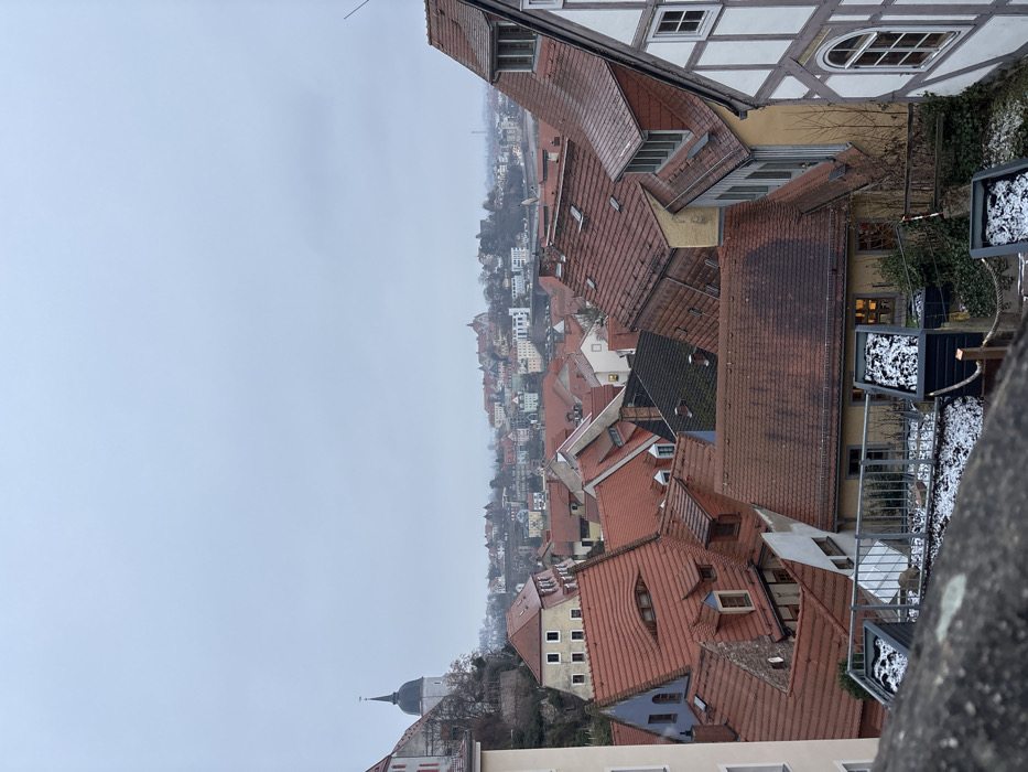 This image presents an elevated, panoramic view of the historic city of Meissen, Germany, under an overcast sky, suggesting a winter day. The scene is devoid of visible people or dynamic actions.
In the immediate foreground, a dark, rough-textured stone wall or parapet occupies the bottom section of the frame. Below this wall, a small, snow-dusted outdoor area is visible, featuring two dark, rectangular planters also containing patches of snow. A brown rope handrail runs parallel to the wall. A light-colored building with a dark roofline is partially visible, showing a single window illuminated with a warm yellow light. Adjacent to it, a light yellow-walled building with a brown tiled roof features a visible antenna or lightning rod extending upwards.
The midground is dominated by a dense cluster of multi-story buildings, characteristic of a historic European town. These structures predominantly feature pitched roofs covered with reddish-orange to dark brown terracotta tiles. Numerous dormer windows, some with arched profiles, are scattered across the roofscape. Building facades display varying colors, including pale yellow, beige, and off-white. A notable half-timbered building with light-colored infill and dark timber framing is prominent on the far right. One particular roof exhibits a distinct, elongated, eye-shaped dormer arrangement.
In the background, the cityscape extends further, becoming progressively hazier. On the left, a prominent white or light-colored building with a dark, onion-domed spire, characteristic of the Meissen Cathedral (Dom zu Meißen) and part of the Albrechtsburg complex, rises from a hilltop. Further across the panorama, more buildings with traditional red roofs are visible, interspersed with trees. A body of water, likely the Elbe River, is faintly discernible in the mid-right background, possibly with a bridge crossing it. Another large, multi-gabled building complex is visible in the distant background towards the right. The sky is a uniform, pale grey, indicating heavy cloud cover and contributing to a subdued lighting condition across the entire scene.