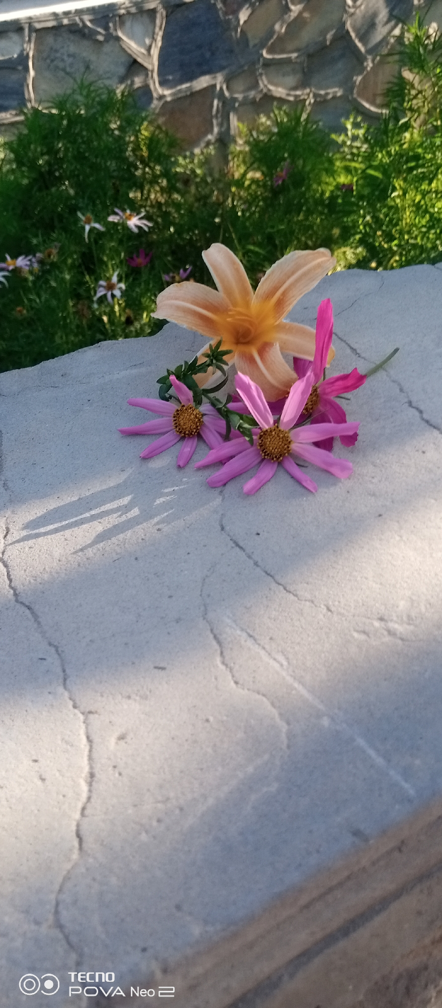 Three flowers, one peach-colored lily and two pink aster-like flowers, are arranged on a light gray, textured surface that appears to be a stone or concrete ledge. The lily is positioned behind and slightly to the right of the pink flowers, with its trumpet-shaped bloom open. The pink flowers have multiple thin petals radiating from a central yellow disc. Green foliage and other small, out-of-focus flowers can be seen in the background, along with a stone wall. The lighting suggests it is daytime, possibly late afternoon, as evidenced by the shadows cast on the surface. The overall scene is peaceful and natural. Visible text in the bottom left corner reads "TECNO POVA Neo 2". The location context is Tahmach, Uzbekistan.