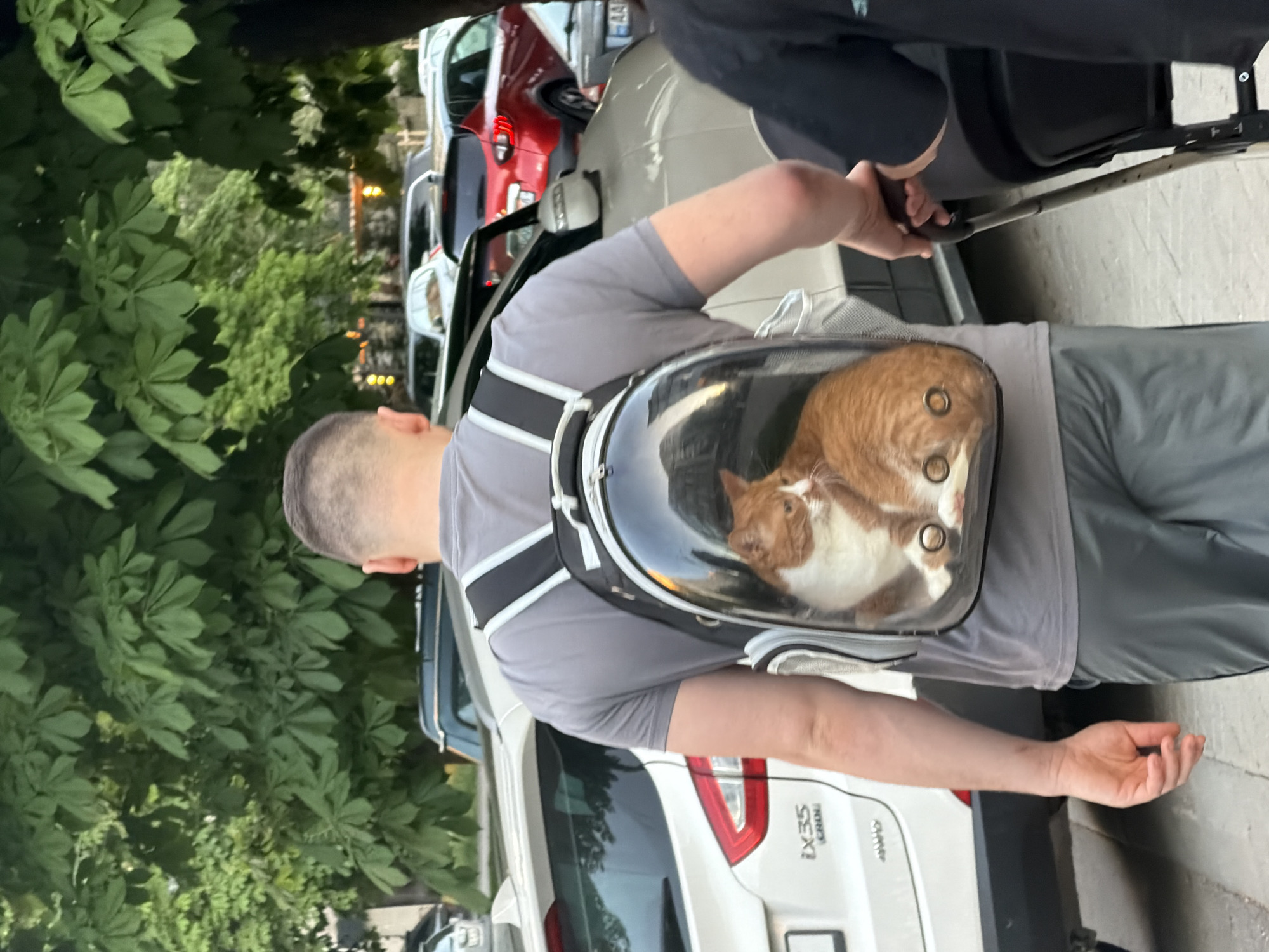 A man wearing a gray t-shirt and a cat backpack is standing on the sidewalk next to parked cars. The cat in the backpack is ginger and white. A second person in a black top is next to the man and holding a handle. The location appears to be in a city, with green trees and parked cars in the background. One of the cars is a white Hyundai IX35. The license plates on other vehicles appear to be Moldova.