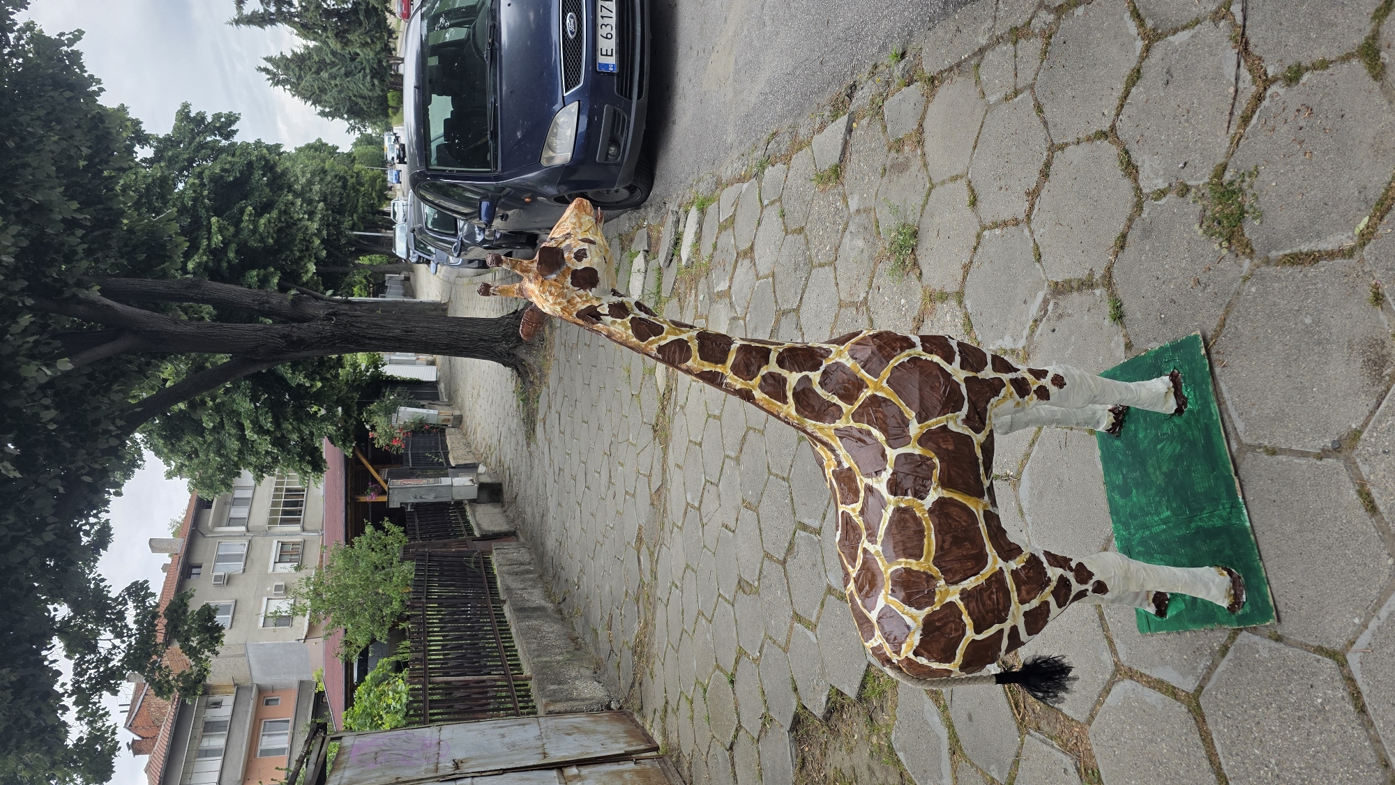 A giraffe sculpture stands on a green painted platform, placed on a hexagonal paved sidewalk. The giraffe is brown with white spots and a long neck that reaches towards a dark blue Ford Focus parked on the street. A tree is adjacent to the giraffe. Across the street, there are residential buildings. The scene is located in Blagoevgrad, Bulgaria, as evidenced by the license plate of the car.