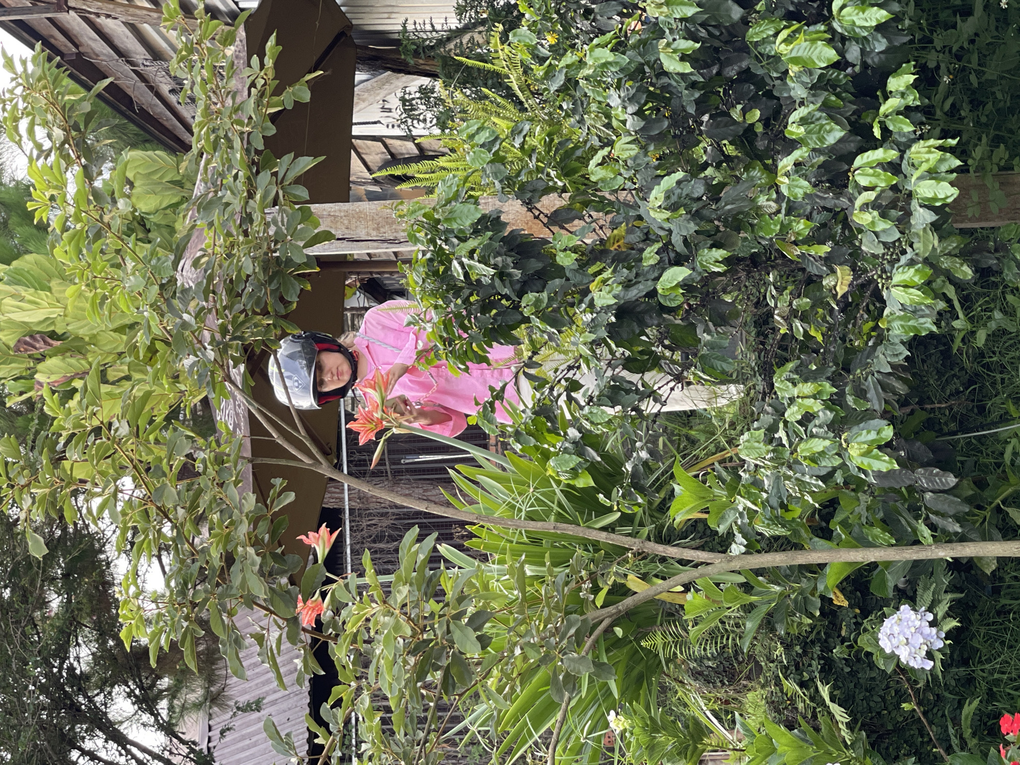 A person wearing a pink outfit and a motorcycle helmet stands partially obscured by greenery in Thôn 5, Vietnam. The surrounding vegetation includes leafy trees, plants, and flowers. A building structure with a wooden frame is visible in the background.