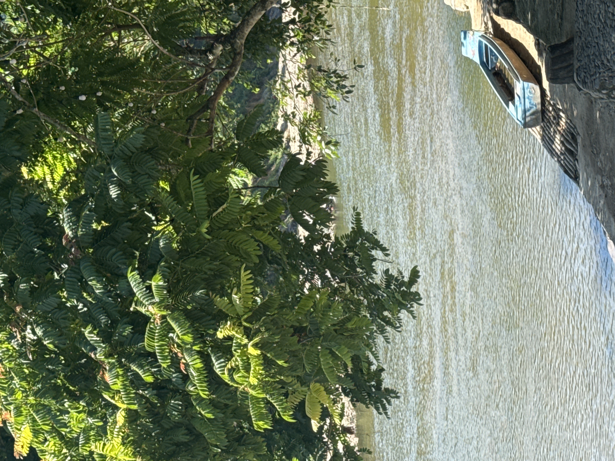 A long, narrow, blue and tan boat is pulled up onto the bank of a wide, calm river, shaded by the dense green foliage of a large tree. The river reflects the sunlight, creating a textured, shimmering surface. The bank is made of rough stone and dirt, with a wooden ramp extending into the water under the boat. The background shows a sandy riverbed and a wooded area on the opposite bank. The scene appears to be in Nam Khanh Vinh, Vietnam, suggesting a tranquil, natural setting. There are no people visible in the image.