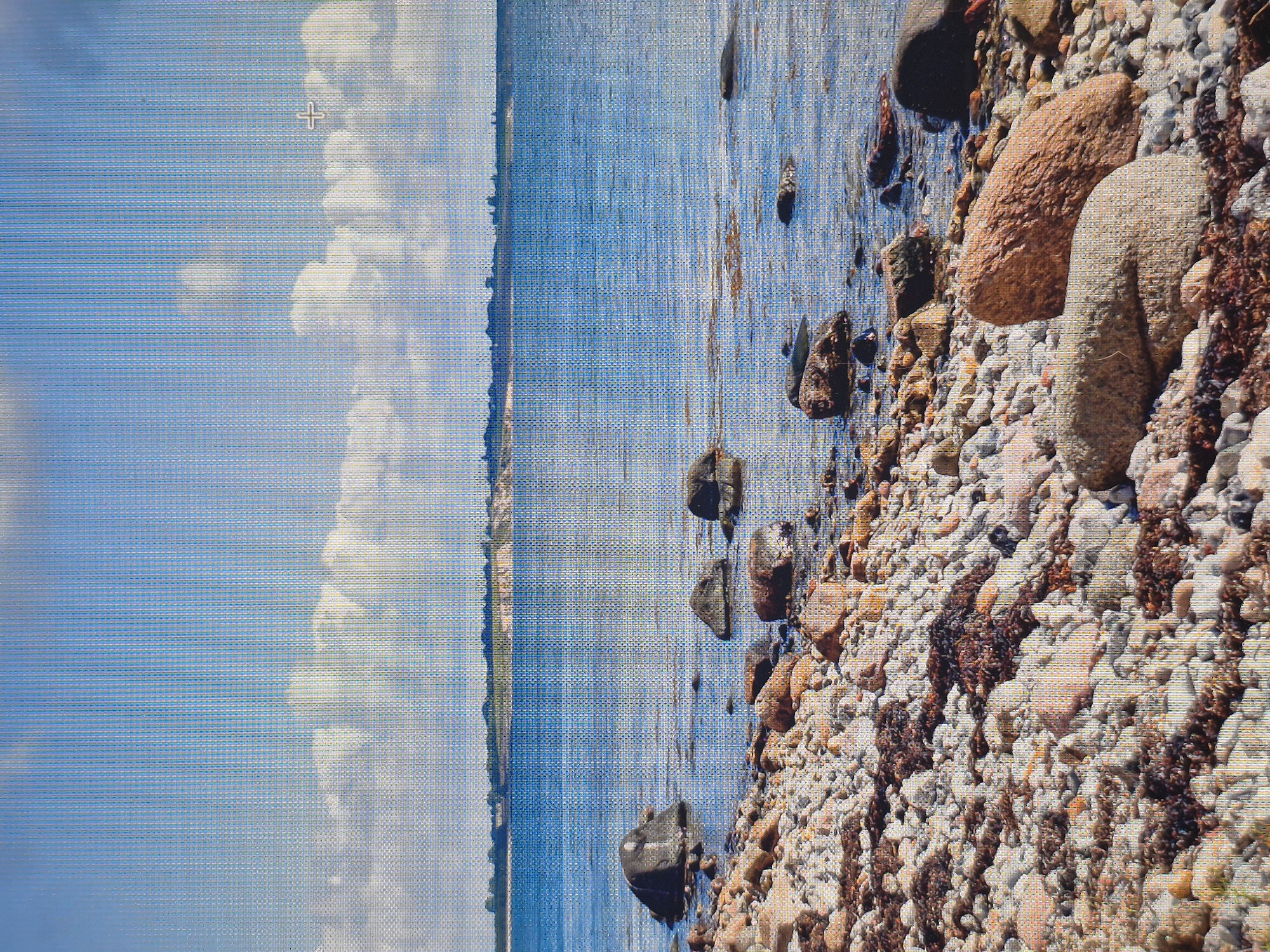 The image depicts a rocky shoreline meeting a calm body of water under a bright blue sky with scattered white clouds. The foreground is dominated by a multitude of various-sized stones and pebbles, with patches of dark brown seaweed interspersed among them. Several larger rocks are visible on the shore, some partially submerged in the water. In the middle ground, the water is a deep blue, with gentle ripples. A low, green, tree-lined landmass is visible in the distance, with a few indistinct structures on it. The sky is a vibrant blue, and the clouds are fluffy and white. There is a faint crosshair cursor visible in the upper right quadrant of the sky, suggesting the image may have been captured from a digital display. There are no people or animals visible in the image. The scene is consistent with a coastal environment. This scene is not located in the city of Schwäbisch Gmünd, Germany, which is an inland city.