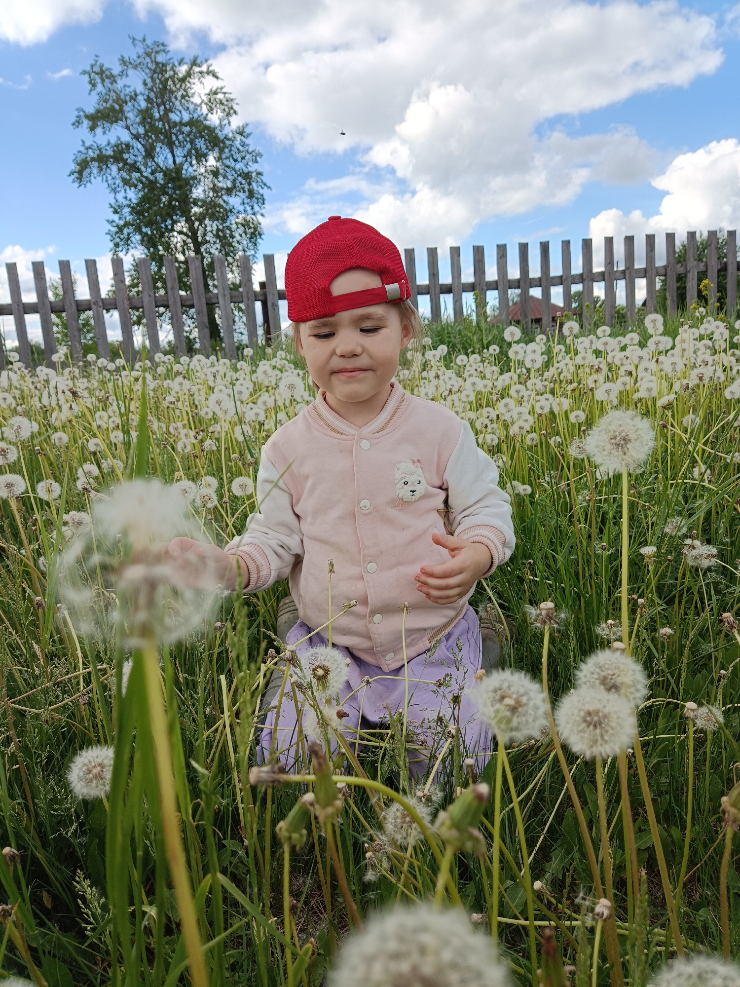 A young child wearing a red cap, a light pink jacket with a bunny patch, and light purple pants is kneeling in a field of dandelions. The dandelions are mostly seed heads. The child is looking down and holding a dandelion seed head. Behind the child is a wooden fence and a tree, with a partly cloudy blue sky above. The location is Jelpachiha, Russia.