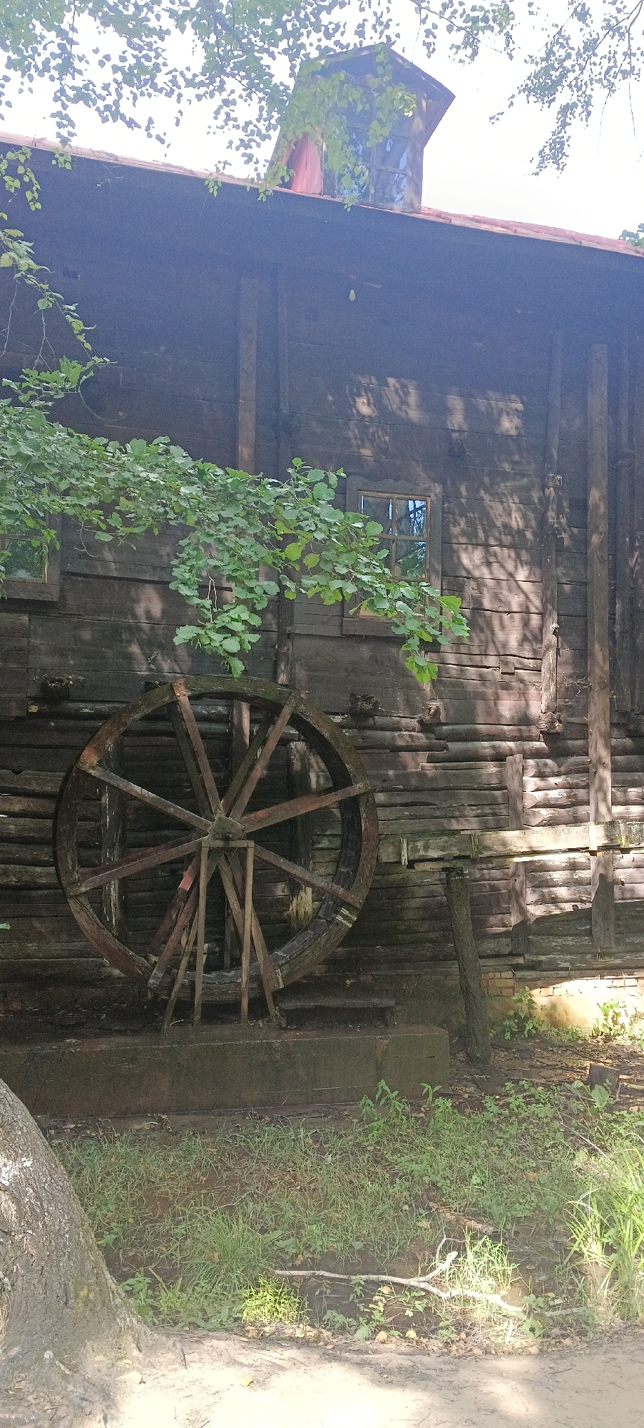 This is a full-frame, eye-level, vertical shot of an old wooden water wheel positioned against the side of a weathered, dark wooden building. The building has visible horizontal planks and a sloped roof with a dormer window visible at the top. Sunlight dapples through the leaves of a tree in the foreground, casting shadows on the building and the ground. The water wheel itself is made of wood with spokes and appears aged and slightly deteriorated. In front of the building, there is overgrown green grass and a large tree trunk partially visible in the lower left corner. The scene suggests an outdoor, rustic setting, possibly in a historical or rural area. There are no people or animals present. This image is likely located in the city of Лох, Russia, given the context.