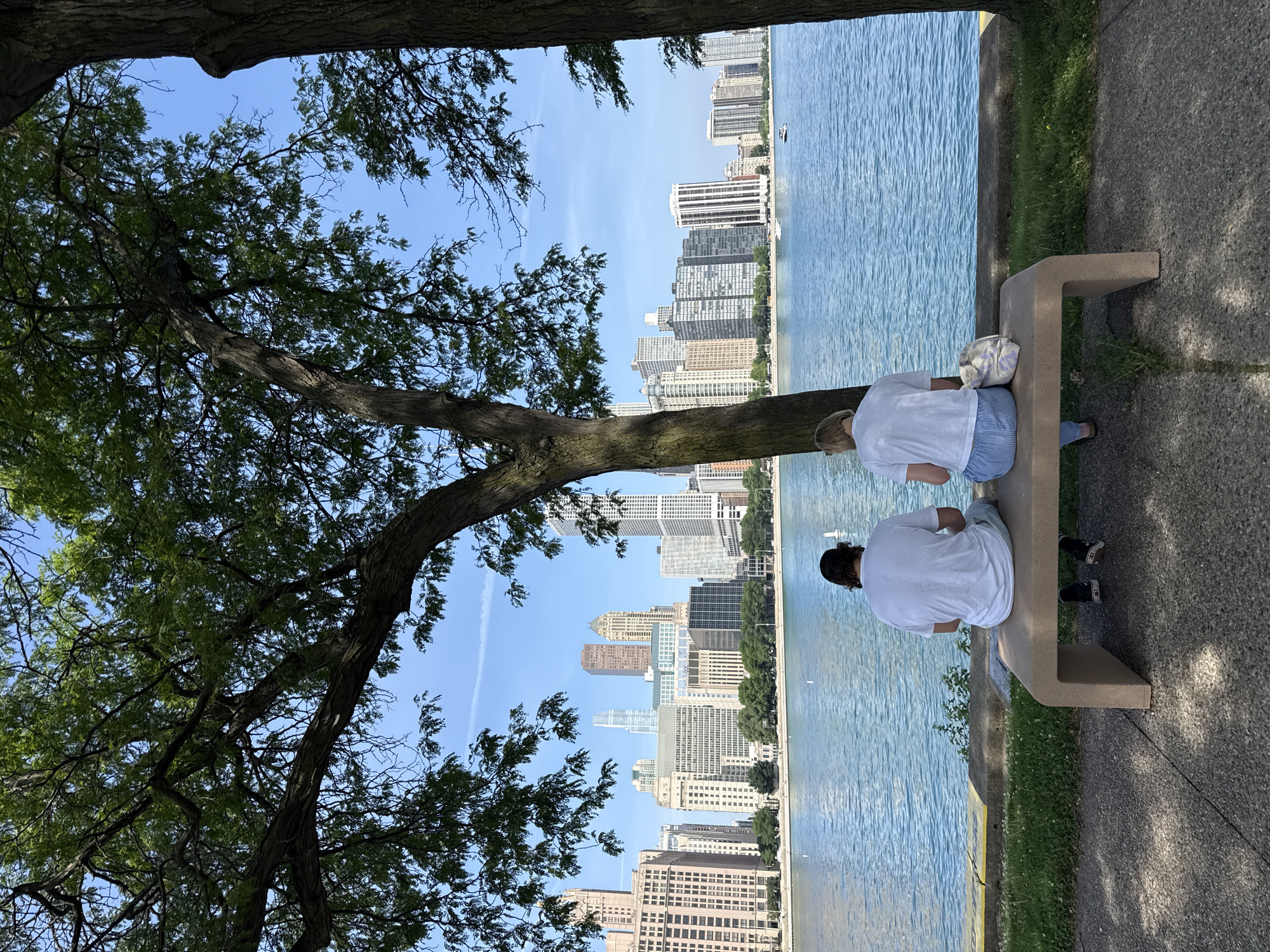 Two people are sitting on a concrete bench facing a large body of water, likely Lake Michigan, with the Chicago skyline in the background. The people are wearing casual clothing, and one is partially obscured by a patterned bag. The day appears to be sunny with a clear blue sky. Lush green trees with dark bark partially frame the scene from the left, casting shadows on the ground. The water is a vibrant blue, with ripples indicating a gentle breeze. The buildings of the Chicago skyline are tall and modern, varying in height and architectural style, creating a dense urban landscape. The ground in front of the bench is a textured concrete path. The overall atmosphere is peaceful and serene, suggesting a leisurely outing by the water. No text is visible in the image.
