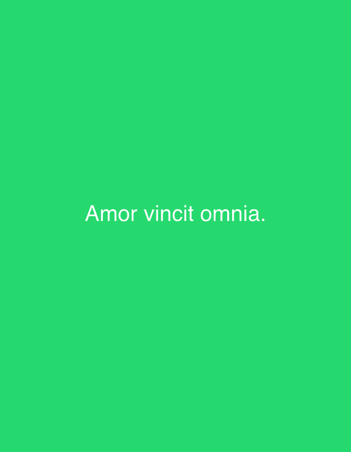 The image is a plain green background with the Latin phrase "Amor vincit omnia." written in white text in the center. There is no information about Vilnius, Lithuania in the image.