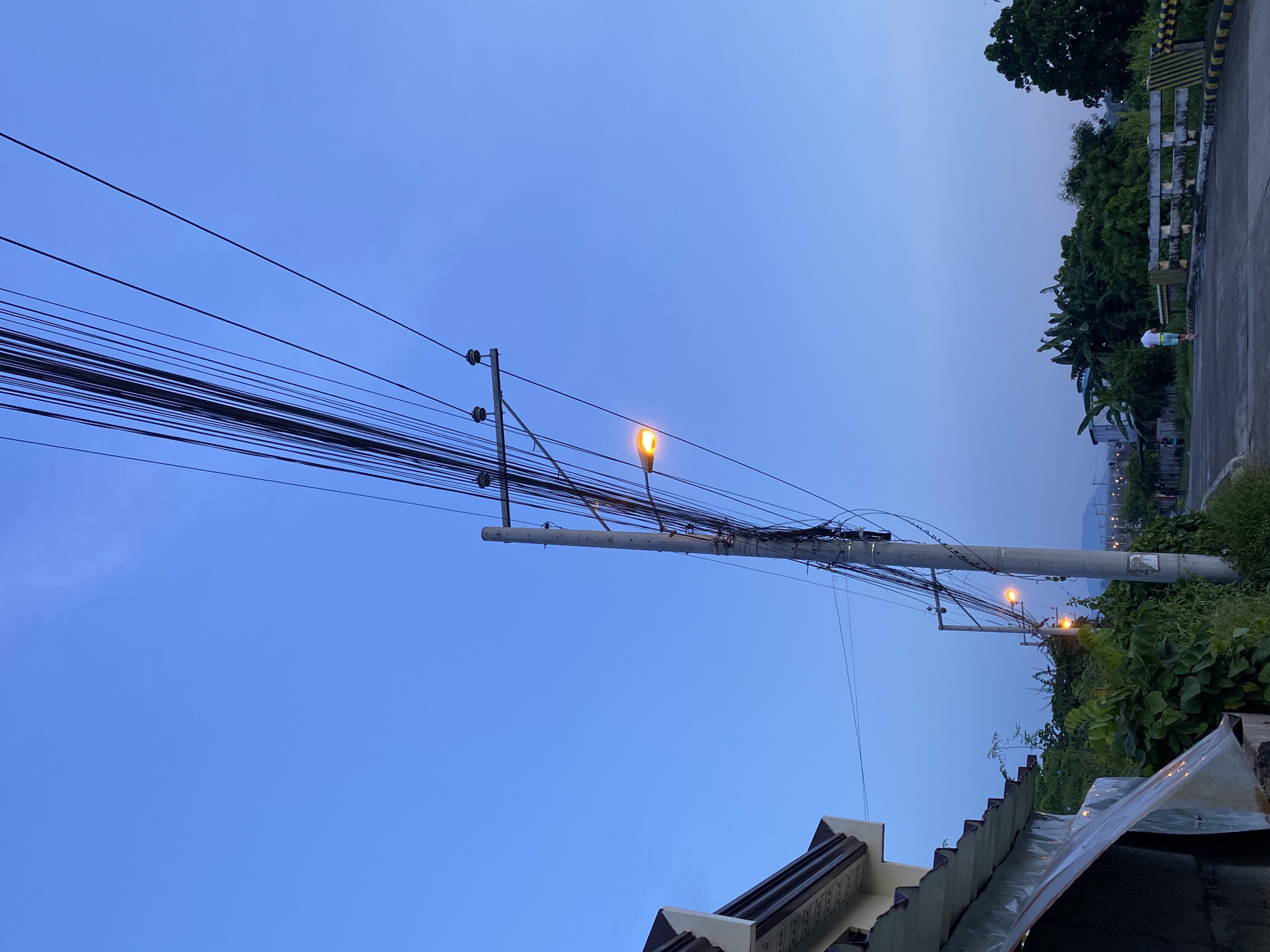 The image, oriented vertically, depicts an outdoor scene at either dawn or dusk, characterized by a clear blue sky transitioning from lighter shades at the horizon to deeper blue overhead. Dominating the left side of the frame is a sturdy utility pole supporting a dense network of black electrical or communication wires. A second, more distant utility pole is also visible further along the street. Two streetlights, attached to these poles, are illuminated with a warm yellow glow.
The right side of the image is rich with tropical vegetation, including large green trees, lush bushes, and distinct banana plants. A concrete road or path runs alongside this greenery, bordered by a black and yellow striped barrier. In the mid-ground, a single person, clad in a white shirt and light-colored shorts, is seen walking away from the camera on this path.
In the lower-left foreground, a section of a house roof, featuring brown and white trim with tiled roofing, is visible. Further to the right, a corrugated metal roof is partially shown. Faint, hazy outlines of mountains or hills are discernible in the distant background. The dense overhead wiring and tropical flora are characteristic of many residential areas in the Philippines, aligning with the Davao City context. No text is visible in the image.