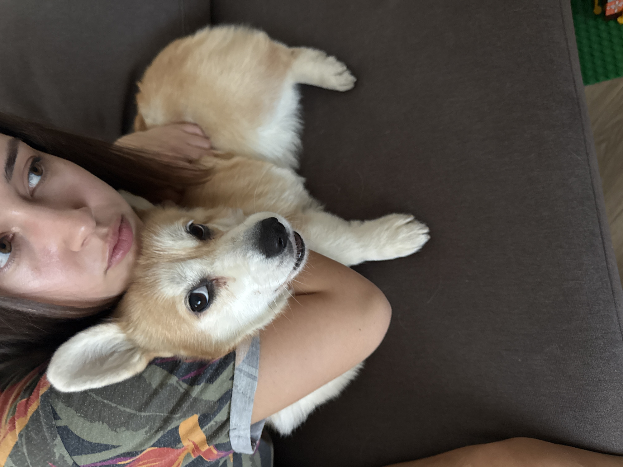 The image captures a close-up, high-angle view of a woman and her dog relaxing indoors on a dark brown sofa. The woman's head and upper torso are visible on the left side of the frame, with her long dark hair spread around her. She has brown eyes and a neutral, slightly contemplative expression, wearing a patterned t-shirt featuring green, orange, and brown hues.
Cuddled beside her, likely in her embrace, is a light brown and white dog, possibly a Corgi, lying comfortably on its back or side. The dog has expressive dark eyes, a black nose, and is looking directly at the camera with a gentle, slightly open-mouthed gaze. Its paws are visible, resting on the sofa and the woman's arm.
The setting appears to be a cozy home environment. The sofa is a dark, possibly charcoal grey or brown fabric. In the upper right background, a small portion of a vibrant green object, resembling a children's toy or building block surface (like a Lego baseplate), is visible next to a light-colored floor or wall. The lighting is soft and ambient, suggesting daytime indoors. The scene conveys a sense of warmth, companionship, and relaxation. No text is visible in the image. The depicted location is Krasnoyarsk, Russia.