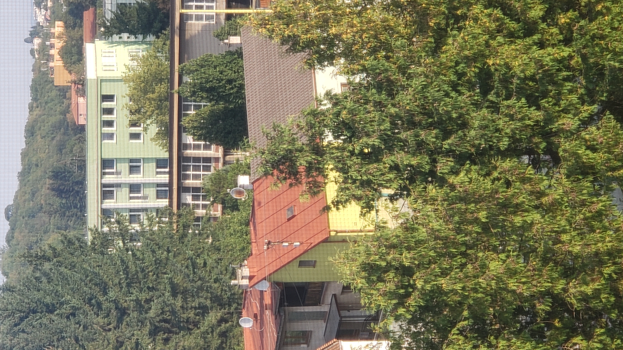The image is an aerial view of a residential area in Prešov, Slovakia. The foreground is dominated by dense green trees, with branches and leaves obscuring much of the lower portion of the scene. Behind the trees, several buildings are visible.
In the middle ground, a two-story house with a bright yellow facade and a red tiled roof is prominent. It has a skylight and a chimney. To its left, a section of a building with a red tiled roof and a satellite dish is visible. Further to the left, part of another building with balconies and windows can be seen.
Behind these houses, a larger, light green building with multiple floors and many windows stands out. It appears to be an apartment complex or a institutional building. Its facade is characterized by a grid-like pattern of windows and vertical white elements.
In the background, more buildings of various heights and colors are scattered among more trees. Some buildings appear to be residential, with pitched roofs, while others are larger and more modern. The overall impression is of a somewhat built-up area with significant tree cover. The sky is visible at the top, appearing bright and likely sunny, suggesting daytime. There are no people visible in the image. The scene depicts a typical urban or suburban landscape.