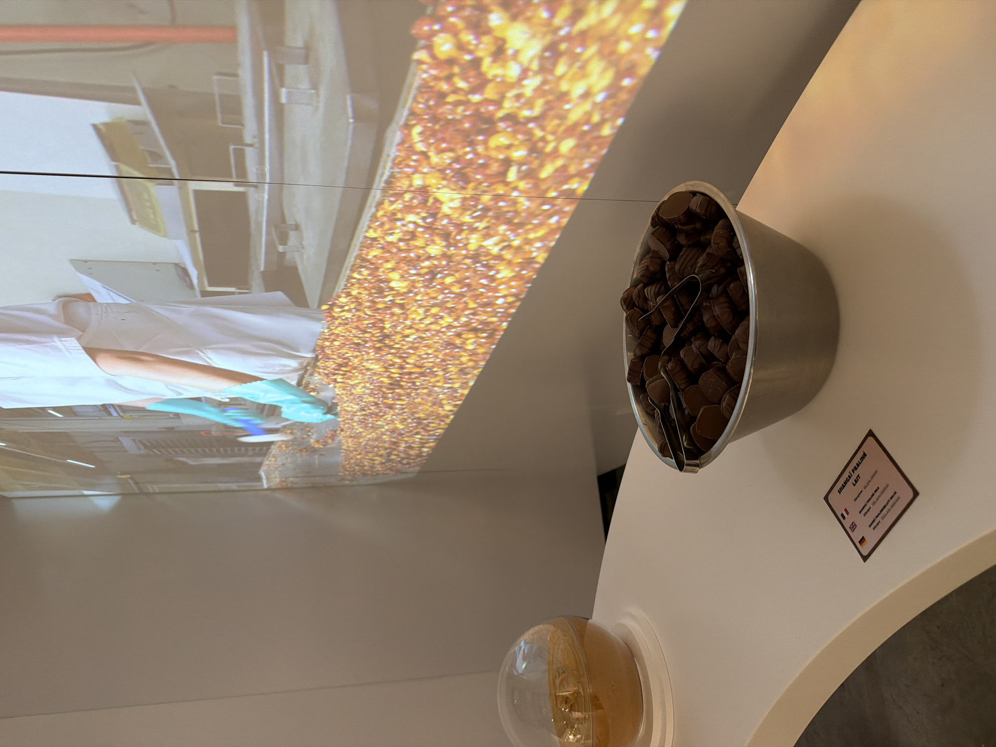 This image depicts an indoor scene, likely part of a chocolate or food exhibition in Illkirch-Graffenstaden, France. On a large screen or wall projection, the lower torso and arms of a person in a white lab coat and blue gloves are visible. They appear to be interacting with or processing a wide conveyor belt or surface covered with a multitude of small, shiny, golden-brown items, which could be roasted cocoa beans or caramelized nuts, suggesting a food production process.
In the foreground, on a white countertop, there is a silver-colored bowl filled with numerous dark, heart-shaped or irregularly shaped chocolate pralines. A pair of metal tongs rests inside the bowl, indicating that these chocolates are available for sampling. To the left of the bowl, a small, clear spherical container with a wooden base holds a light-brown, granular substance, possibly another type of food sample or ingredient.
An informational sign is placed on the countertop next to the chocolate bowl. It reads "SHANGHAI PRALINÉ LAIT" (Shanghai Praline Milk). Below this, with national flags, key ingredients are listed in multiple languages:
* French flag: "AMANDES CARAMÉLISÉES"
* English flag: "CARAMELIZED ALMONDS"
* German flag: "KARAMELISIERTE MANDELN"
The scene combines visual information about a food product's creation with the opportunity for direct tasting.
