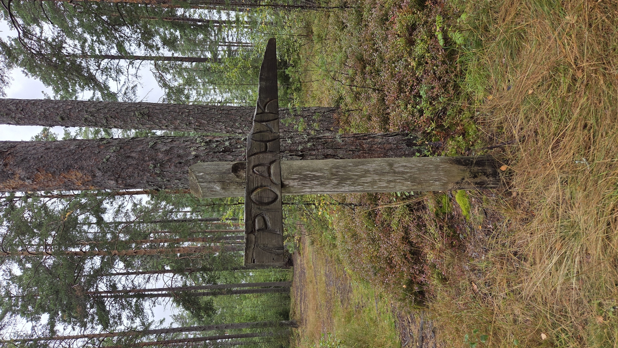 A wooden signpost with carved Cyrillic letters stands in a forest. The signpost is made of a single vertical wooden post and a horizontal wooden plank carved with the letters "РОДНИК", which translates to "spring" or "source". The sign points to the right. The forest is characterized by tall pine trees, undergrowth of bushes and grasses, and a path leading to the left of the signpost. The ground is covered with dry grass and some areas of moss. The overall lighting suggests an overcast day. The scene depicts a natural environment, likely a hiking trail or a natural landmark. The location is Zerkal'nyi, Russia. There are no people or animals present in the image.