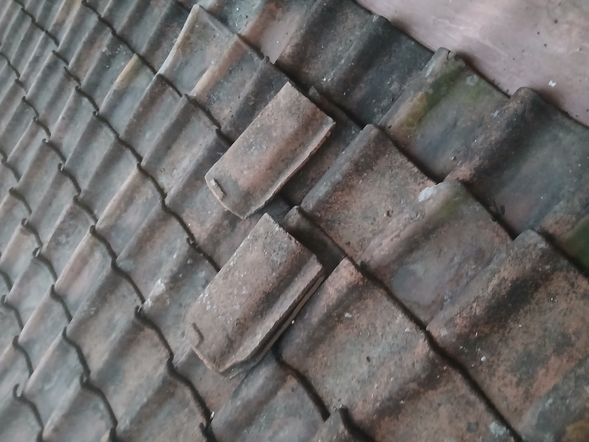 The image shows a close-up, overhead view of a tiled roof. The tiles are made of clay and appear to be weathered, with some showing signs of moss or algae growth. They are arranged in an overlapping pattern typical of roofing. The lighting suggests it might be overcast or dusk. The image does not contain any people, actions, or specific landmarks that would indicate a location within Tenggarang, Indonesia.