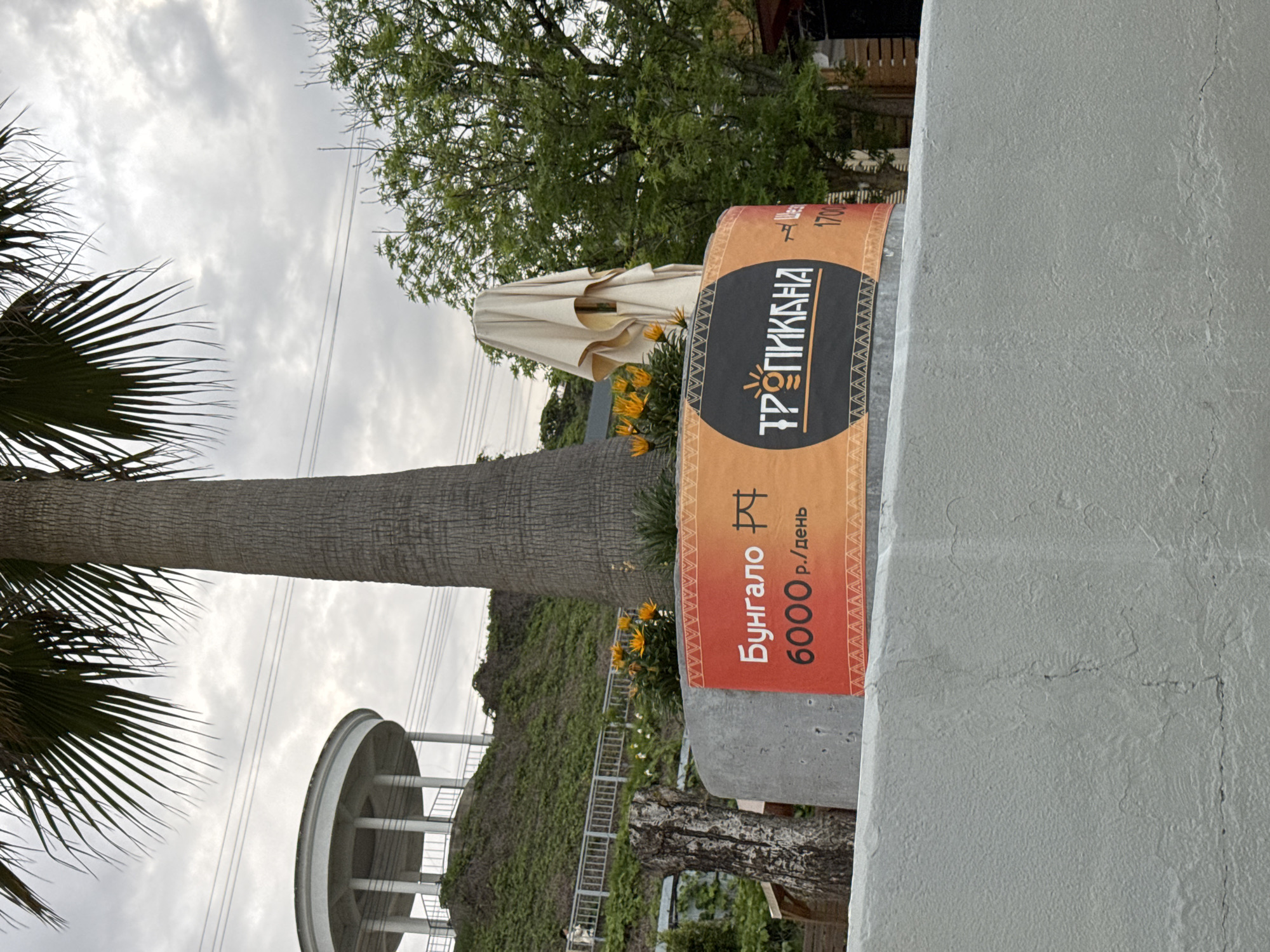 The image shows a scene in Sochi, Russia, with a prominent sign advertising "Тропикана" (Tropikana). The sign indicates that bungalows are available for 6000 rubles per day. A palm tree and lush greenery surround the sign, suggesting a tropical or resort-like setting. In the background, there is a white, circular architectural structure with columns, possibly a gazebo or observation point, situated on a hillside covered with vegetation. An umbrella provides shade. The sky is overcast, indicating cloudy weather.
