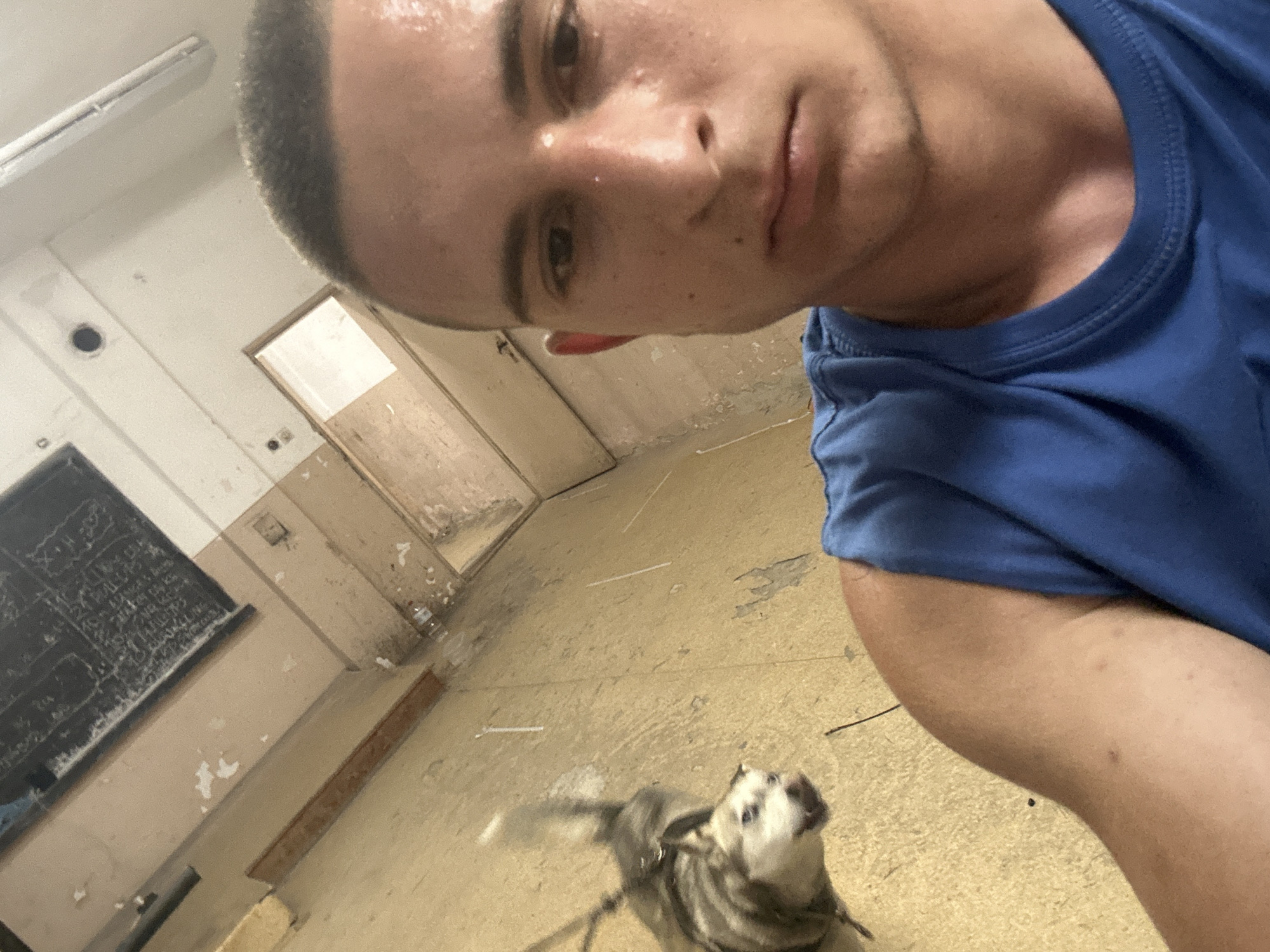 A selfie photograph shows a young man with a shaved head wearing a blue T-shirt in what appears to be a dilapidated building. The man's face is slightly sweaty. In the background, there is a room with peeling paint, a chalkboard, and multiple doors, suggesting a former school or institutional setting. In the foreground, there is a small dog looking up at the camera. The location is suggestive of neglect and possible abandonment. There is no evidence in the photo to indicate that it was taken in Kalchevo, Bulgaria.