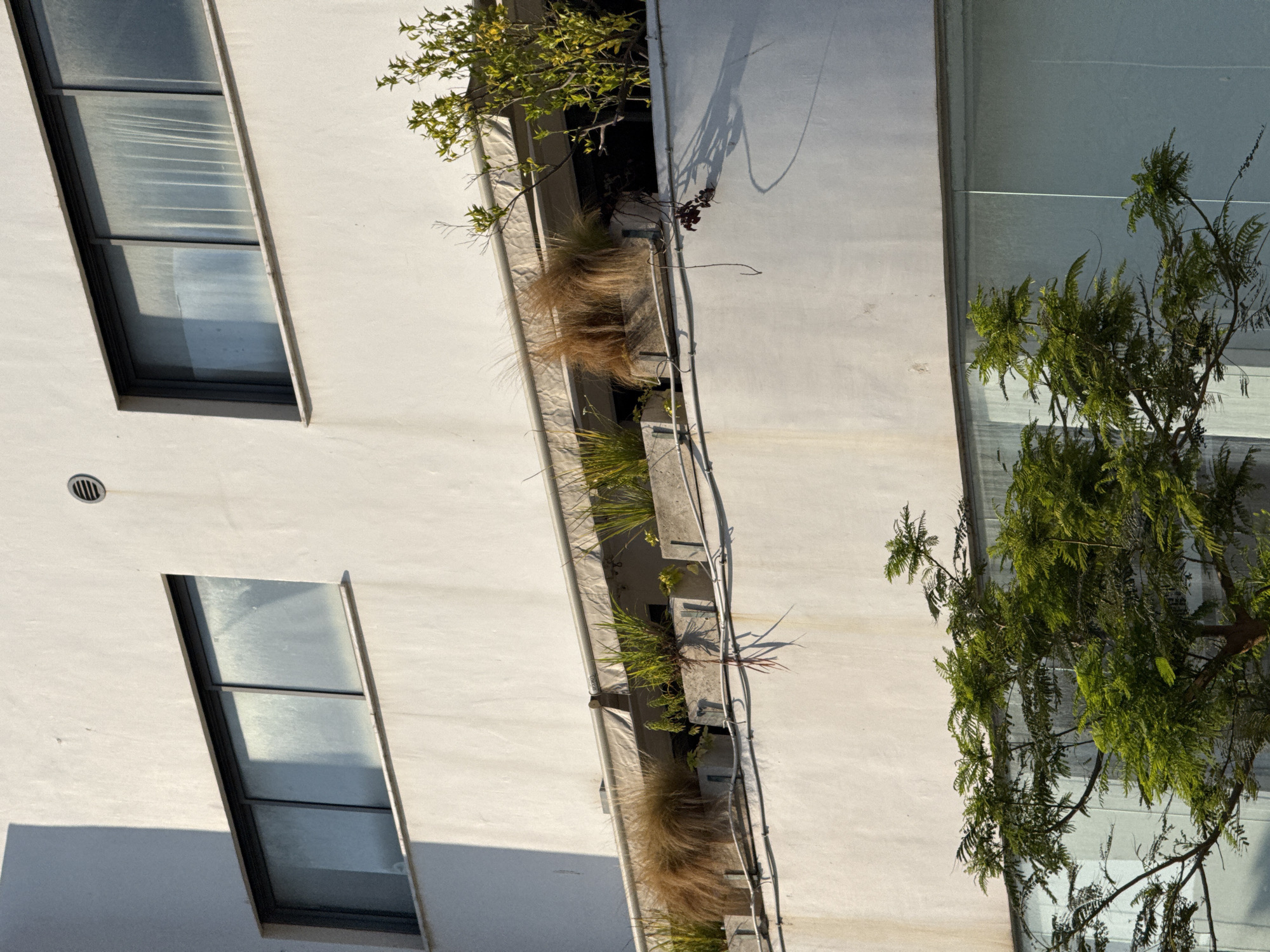 The image shows a multi-story building with a white facade in Tel Aviv, Israel. The building has several windows and a balcony with planters. There are plants, including grasses and a small tree, on the balcony and in front of the building. The sun is casting shadows on the building, indicating it is either morning or late afternoon. The building appears to be residential or commercial.