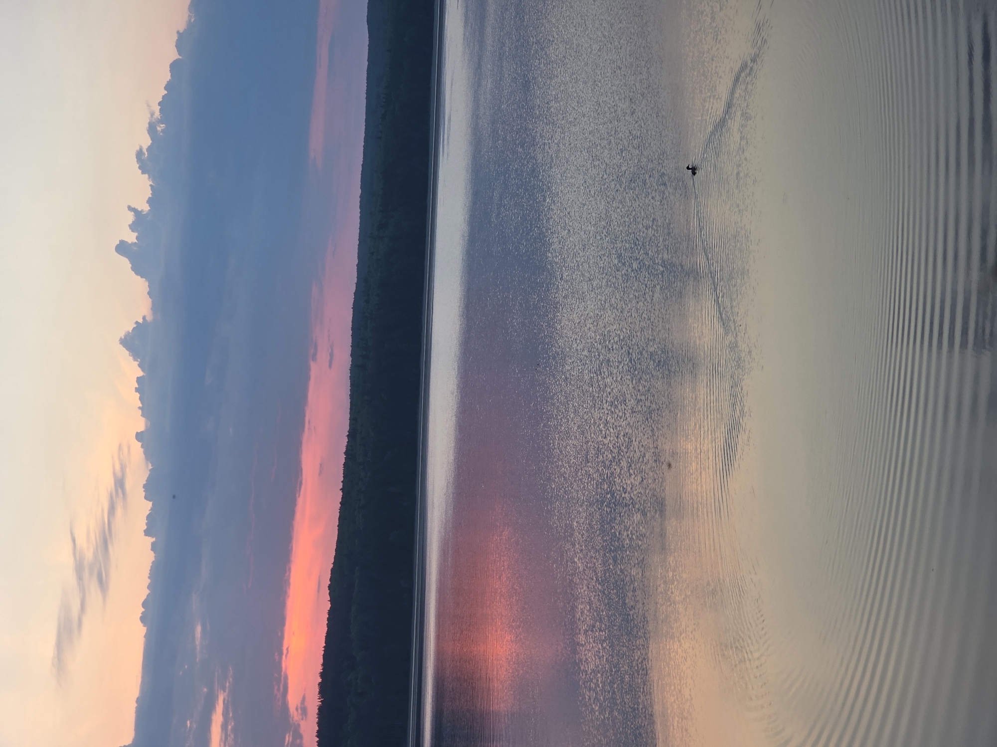 The image depicts a serene lake scene during sunset in Chaikovsky, Russia. The sky displays a gradient of colors from peach to pink to blue with some cloud formations. A dark green forest lines the opposite side of the lake. The lake's surface reflects the sunset colors. There is a single bird visible near the center of the water, creating ripples on the lake's surface. The lake reflects concentric ripples in the right side of the image.