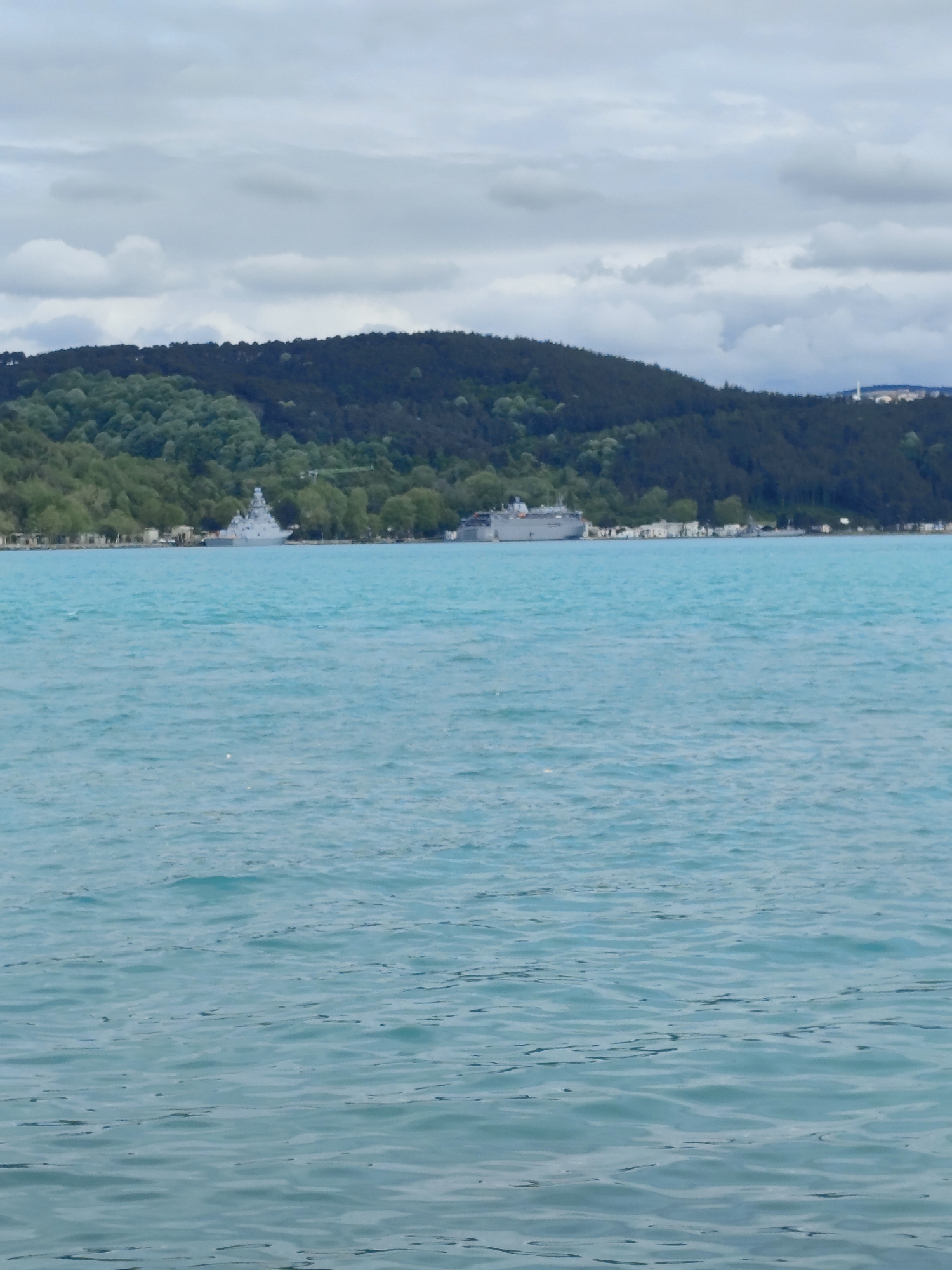 The image shows a body of water with two ships docked along the shoreline. Behind the ships is a forested hill, topped by dark green trees. The sky is overcast with light gray clouds. The water is a light turquoise color. The image is taken in an unknown city.