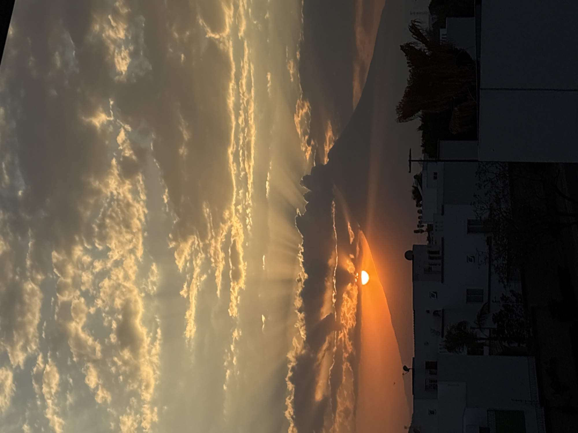 The image captures a sunset scene over San Bernardino Tlaxcalancingo, Mexico, with a large, dark, conical volcanic peak dominating the mid-ground. The sun, appearing as an intense orange-red half-disk, is positioned low, partially obscured by the volcano's upper slope and a bank of clouds. Multiple crepuscular rays emanate upwards and outwards from the sun's location, extending into the sky. The sky is filled with altocumulus and stratocumulus clouds, illuminated from behind by the sun, presenting colors ranging from bright orange and gold near the horizon to softer grey and pale yellow higher up. The foreground consists of multiple flat-roofed residential or commercial buildings, rendered in dark silhouette against the bright sky. Visible rooftop features include satellite dishes and vents. Interspersed among the buildings are dark silhouettes of various trees and shrubs, including a prominent palm tree with drooping fronds on the right side. A single small bird is in flight in the lower-left portion of the illuminated sky. No human subjects are visible.