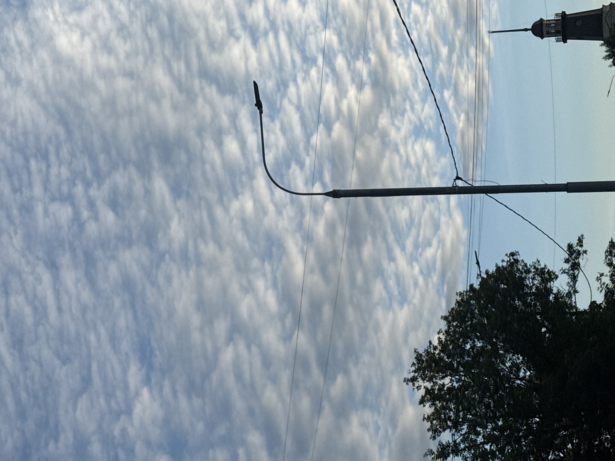The image presents an urban skyscape, largely dominated by a dramatic cloud formation. The majority of the sky is covered in a dense, rippled pattern of small, white and light grey clouds, characteristic of altocumulus or cirrocumulus clouds. Towards the right side of the frame, the sky transitions to a clearer, paler blue.
A dark metallic streetlight pole stands prominently in the mid-ground, extending vertically upwards from the lower right before its upper arm curves gracefully towards the left, ending in a dark, sleek lamp fixture. Multiple thin, dark utility wires crisscross the sky, attached to the pole and stretching across the cloudy expanse.
In the far right background, partially silhouetted against the lighter blue sky, is the upper section of a dark, spire-topped building, possibly a church or a clock tower, with visible architectural details. A dense, dark green tree canopy occupies the bottom right corner, partially obscuring the base of the building.
The scene is set during the daytime, indicated by the bright, well-lit clouds. There is no discernible activity involving people. No visible text is present in the image. The presence of the streetlight and building suggests an urban or suburban environment, consistent with the location context of Moscow, Russia.