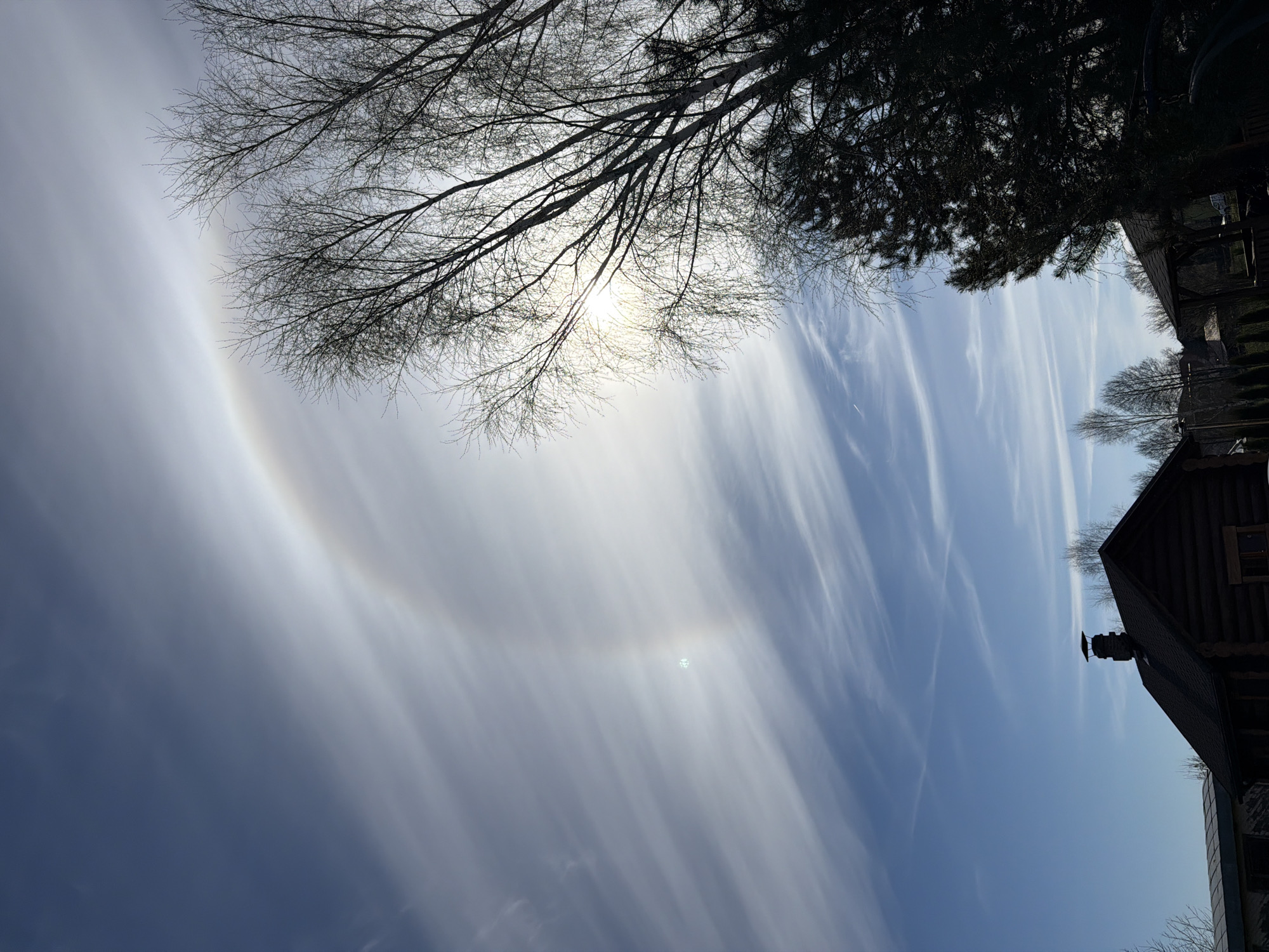 The image captures a view in Dreiliņi, Latvia, featuring a bright sun obscured by tree branches in the upper portion. A distinct halo encircles the sun. Streaky clouds are visible in the blue sky. The corner of a dark-colored wooden building is visible in the lower right corner.