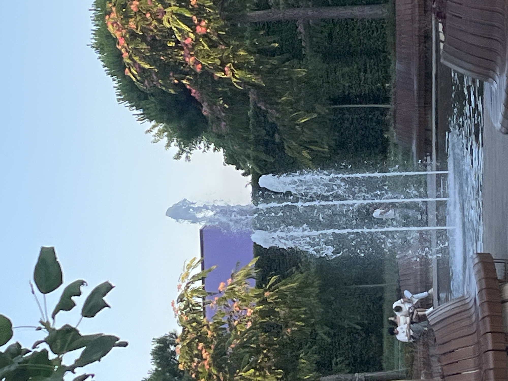 The image shows a fountain in a park, possibly during daytime given the bright sky. The water from the fountain is spraying upwards, creating a misty effect. In the foreground, there are some leafy green plants and in the background, there are trees with pink flowers. There is also a building with a purple facade visible through the trees.
In the lower right corner, there are several people sitting on a bench next to the fountain. They appear to be a group of friends or family, enjoying the outdoor space. One person is leaning on another, suggesting a relaxed and friendly atmosphere. The bench itself is made of brown slats.
The scene appears to be a public park in Krasnodar, Russia. The presence of a fountain, lush greenery, and people relaxing indicates a pleasant recreational area. The time of day seems to be either morning or late afternoon, as the light is soft and there are no harsh shadows. The sky is clear and blue, suggesting fair weather. No visible text is present in the image.