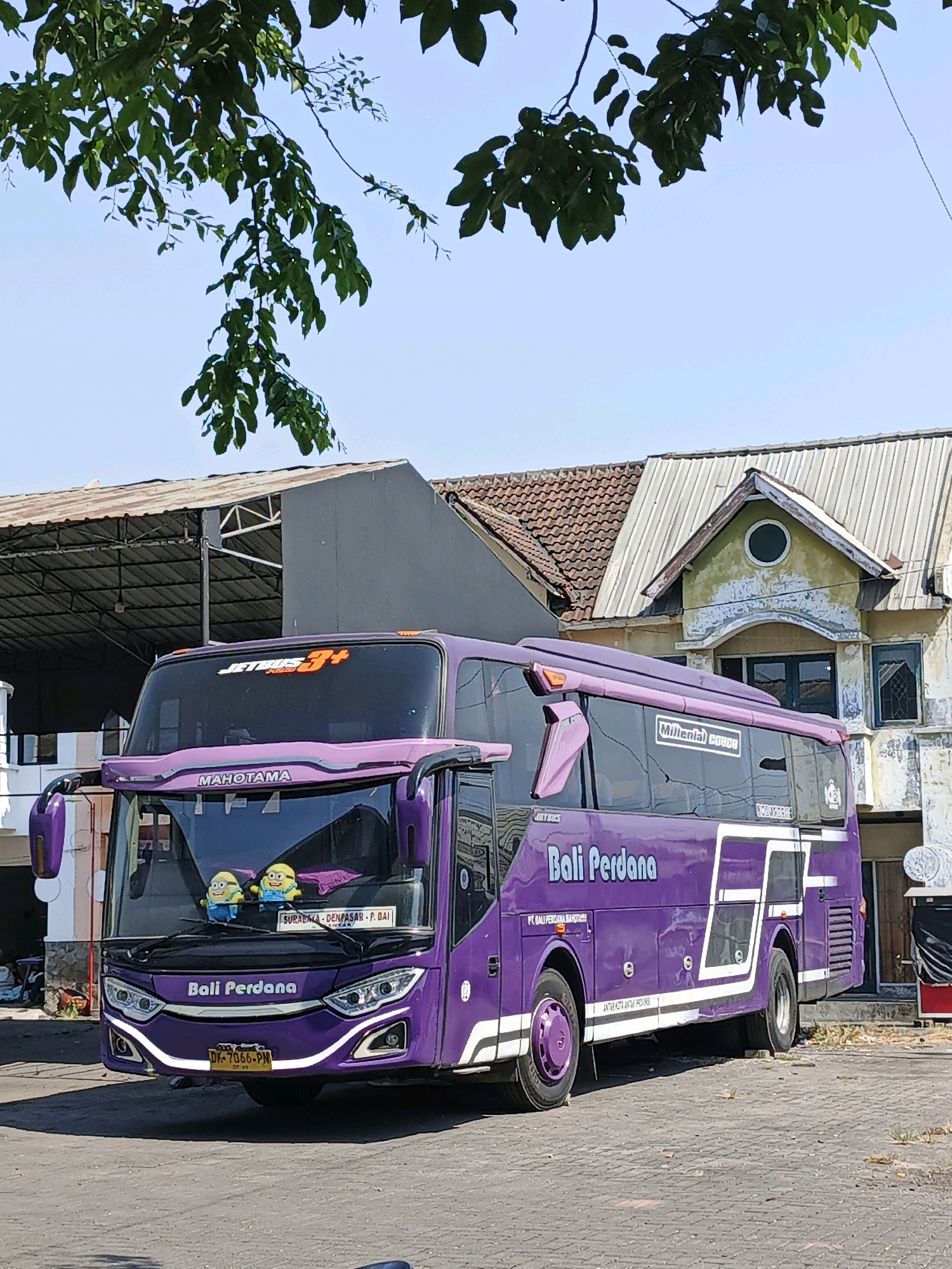 A bright purple intercity bus is parked on a paved lot in front of a weathered, two-story building. The bus has "BALI PERDANA" written in large white letters on its side and front. On the front windshield, two Minion figures are visible, along with a sign indicating destinations "SURABAYA - DENPASAR - P. BAI". The building behind the bus has a tiled roof and faded yellow paint, with an arched doorway above the entrance. The sky is clear and blue, and green leaves hang from a tree in the foreground, partially obscuring the top of the bus and the building. The license plate of the bus reads "DK 7066 PN". The scene appears to be in Kludan, Indonesia.