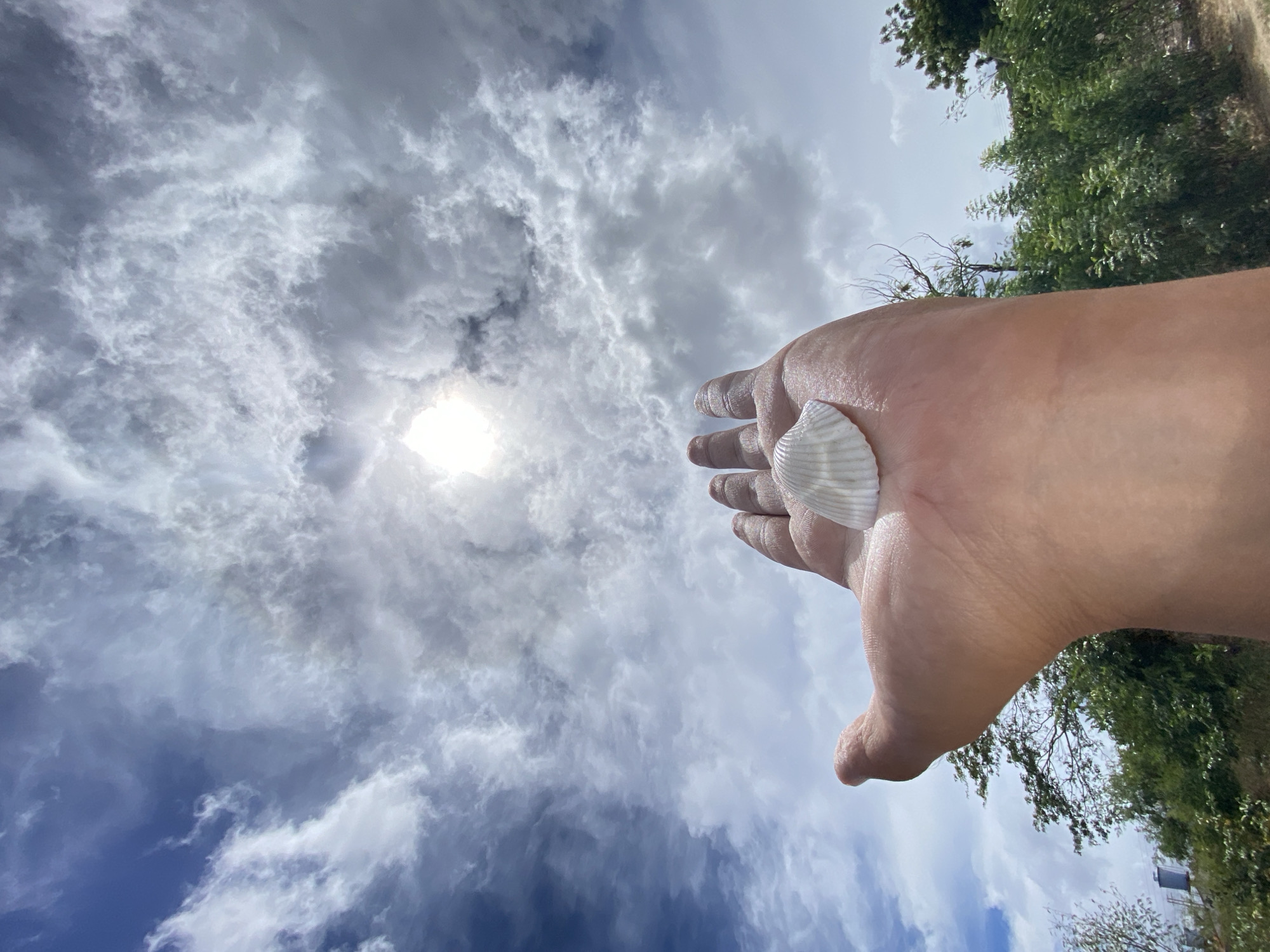 The scene is located in Juan Griego, Venezuela, depicting a human hand, palm upward, holding a white seashell under a partly cloudy sky. The hand, identified as an adult's, occupies the lower central foreground, with fingers slightly curved and extended towards the sky. A bivalve seashell, off-white with distinct radial ridges, rests centrally on the palm. The sky dominates the upper two-thirds of the image, presenting a mix of white and grey clouds. The sun, partially obscured by clouds, creates a bright glare in the upper center, with patches of clear blue sky visible to the left. The lower section of the image features a dense line of green foliage, comprising bushes and tree canopies. A light-colored cylindrical structure, consistent with a water tank, is partially visible above the vegetation on the far left.