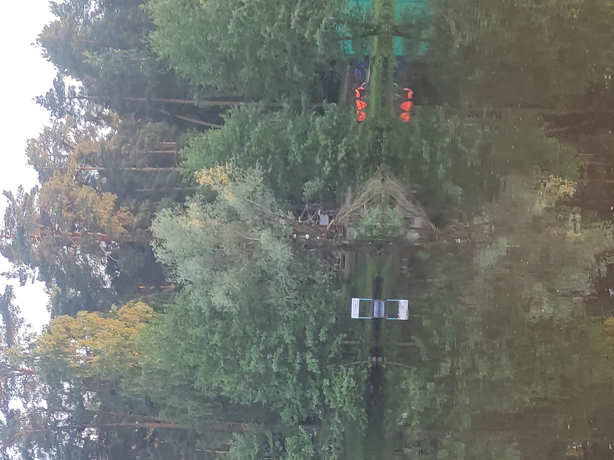 The image depicts a tranquil waterfront scene in Kratovo, Russia. A calm, dark green-brown body of water occupies the foreground, exhibiting clear reflections of the adjacent elements. On the left side of the bank, a white and blue rectangular sign, partially submerged, stands upright at the water's edge; its upper section displays indistinct Cyrillic text, and a distinct inverted reflection is visible on the water's surface. To the right, a cluster of approximately three to four orange life vests is arranged on the shoreline, also mirrored in the water. A lighter-colored, multi-branched tree, possibly a willow, leans towards the water near the center-right of the image. The background is dominated by a dense, verdant forest composed of tall coniferous and deciduous trees, extending across the entire horizon under a pale, diffused sky. No individuals or specific actions are discernible within the frame.