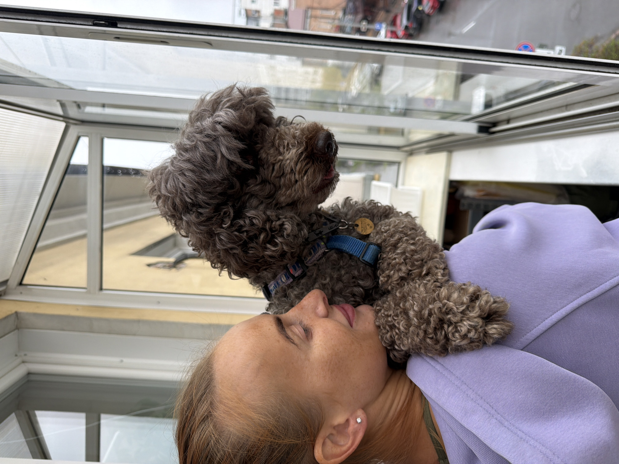 A woman with closed eyes is lying down while a small, curly-haired brown dog is perched on her neck and shoulder. The woman has fair skin, freckles, and blonde hair pulled back, with a visible earring. She is wearing a light purple hooded sweatshirt. The dog has a blue collar with a circular tag. The background shows a structure with glass panels and white frames, which appear to be part of a rooftop or enclosed balcony. Beyond the glass, blurry reflections of buildings and vehicles are visible, suggesting an urban environment. The photograph is taken indoors, in what appears to be the city of Krasnoyarsk, Russia.