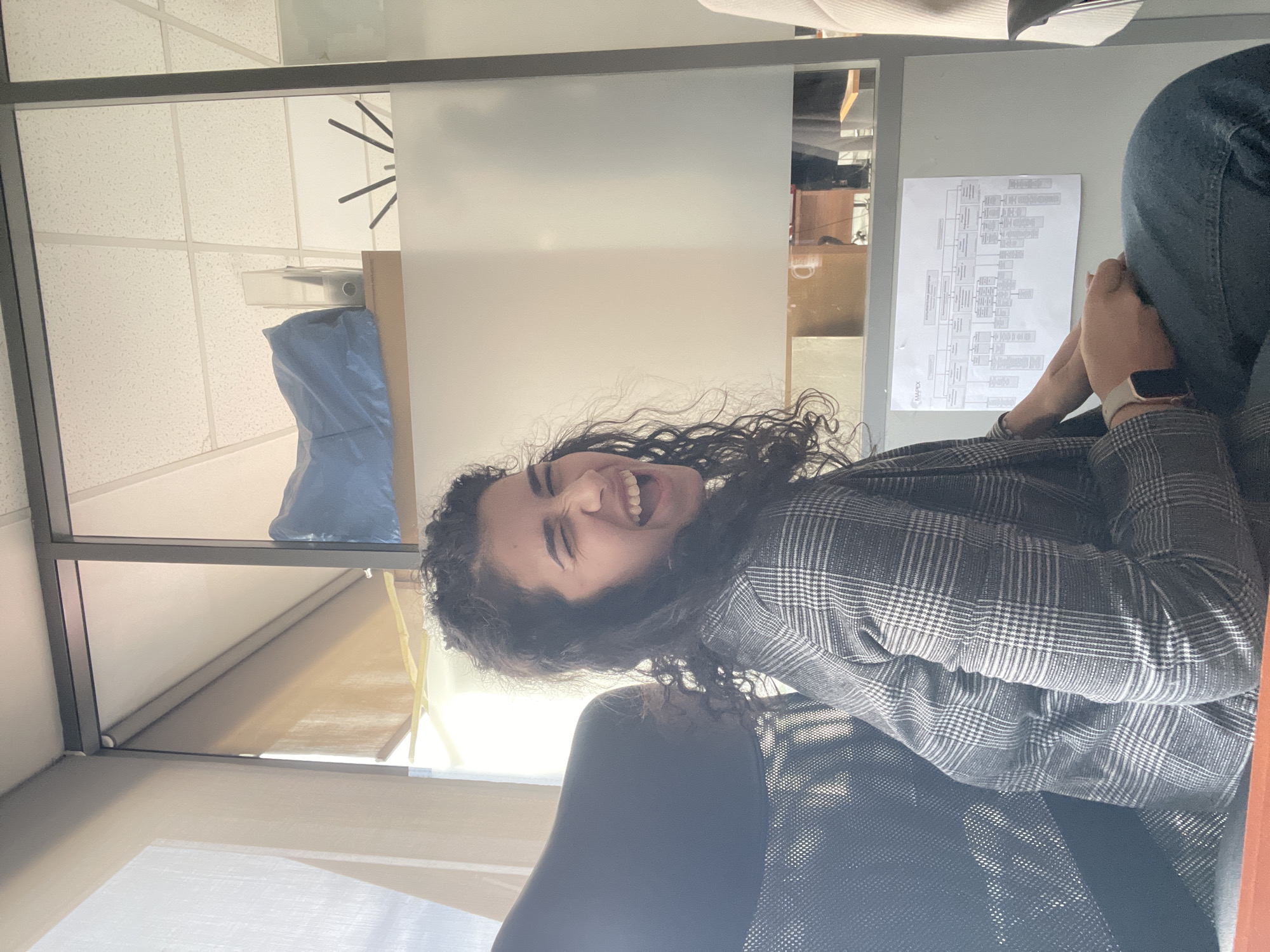 A woman with curly dark hair is sitting in an office chair, laughing. She wears a gray and white plaid blazer. She has a watch on her wrist. A document with a complex chart is affixed to a wall or partition behind her. The office has fluorescent lighting, a drop ceiling, and a window with a partly lowered shade. A blue plastic bag is visible above. The location is in an office in Sofia, Bulgaria.