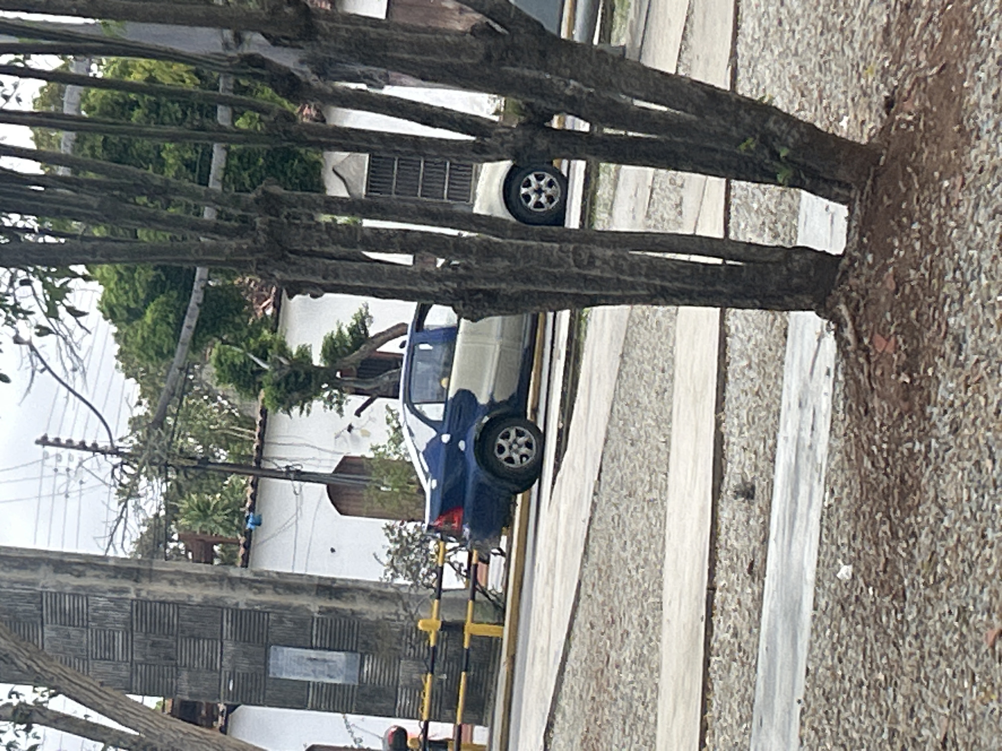 The image depicts a street scene in Santa Ana, Venezuela. In the foreground, a cluster of trees with dark, textured bark obscures the view of the midground and background. A blue and white sedan is parked on the side of a paved road. The car appears to have a two-tone paint job, with the front half being white and the rear half being blue. Yellow and black striped barriers are visible behind the car, suggesting a potential construction zone or a pedestrian walkway. The background reveals a white building with arched doorways and barred windows, possibly a residential or commercial structure. Lush green trees and foliage surround the building, indicating a tropical or subtropical environment. Utility poles and wires are also present in the background, typical of urban infrastructure. The sky is overcast, suggesting a cloudy day. The ground in the foreground is covered with small stones and dirt.