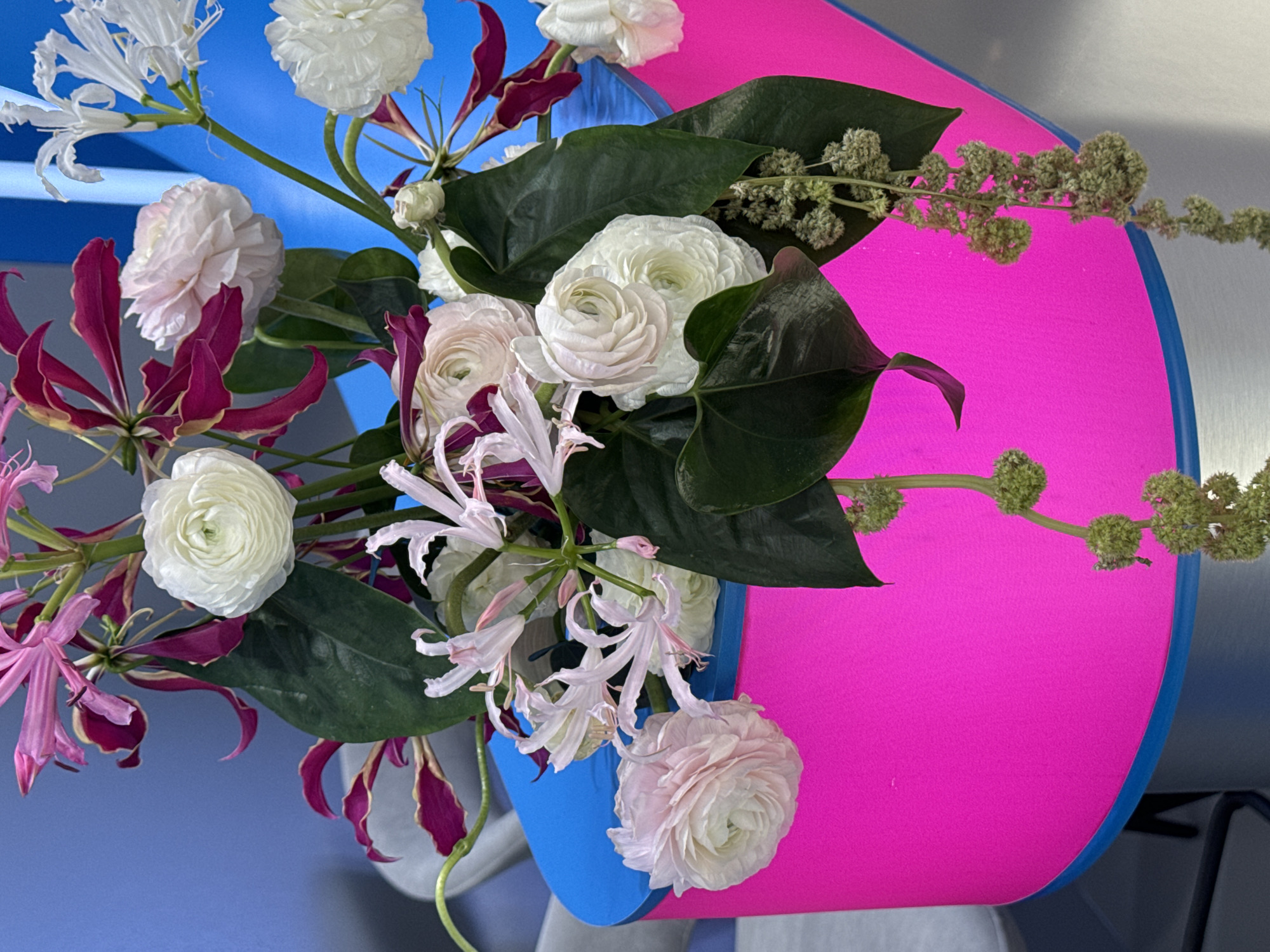 This media file presents a vibrant and modern floral arrangement, captured in bright, even lighting. The arrangement is set against an abstract backdrop of bold, solid colors: a striking magenta-pink dominates the right side, while an electric blue fills the left and bottom, suggesting a contemporary artistic display or decorative installation.
The floral composition features a diverse array of blooms. Several white and pale pink ranunculus are prominent, identifiable by their densely layered, rose-like petals. Delicate white spider lilies (Hymenocallis) with long, slender, recurved petals are visible towards the top left and center. Adding a dramatic flair are deep maroon-red Gloriosa lilies, also known as flame lilies, which exhibit distinctive wavy, backward-curling petals. Smaller, light pink, star-shaped flowers also contribute to the arrangement's texture and color palette.
Large, dark green, heart-shaped leaves, likely from Anthurium plants, provide a rich, waxy contrast to the softer petals and offer structural support within the bouquet. Interspersed throughout are slender stems adorned with small, light green, clustered buds or seed pods, possibly a type of amaranth, which add a delicate, textured filler element.
The overall impression is one of sophisticated design and visual dynamism, with the vivid background enhancing the natural beauty and varied forms of the flowers. There is no visible text within the image. While the location context is provided as Shushary, Russia, the visual content itself offers no specific geographical cues.