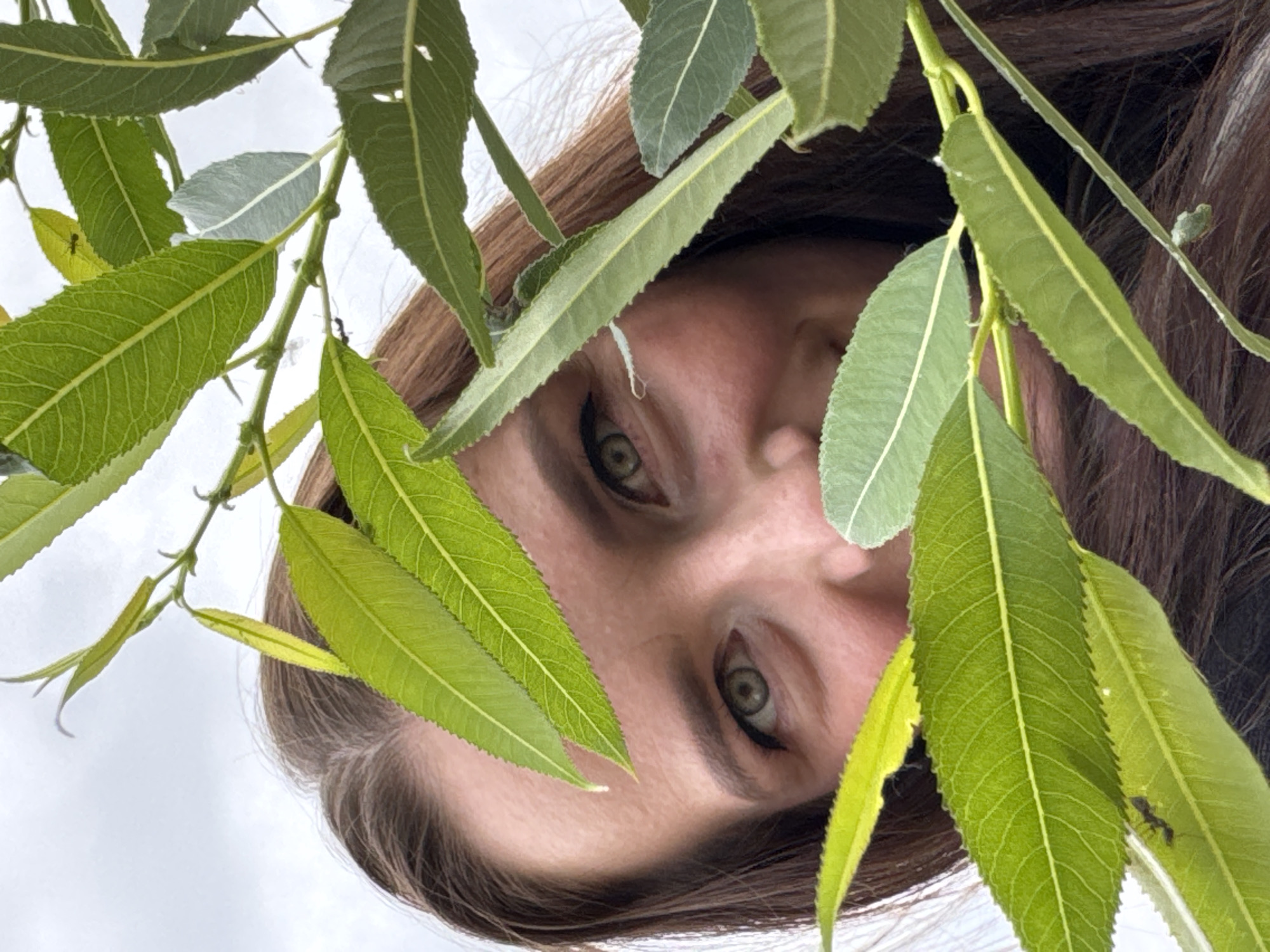 A low-angle, close-up shot features a woman's face partially obscured by lush green willow leaves and branches. Her eyes, a striking green, are visible and look towards the camera. Her brown hair frames her face. The background consists of a pale, overcast sky. The image appears to have been taken outdoors, possibly in Novyi, Russia, given the presence of willow trees, a common sight in many Russian landscapes. The lighting suggests it is daytime.