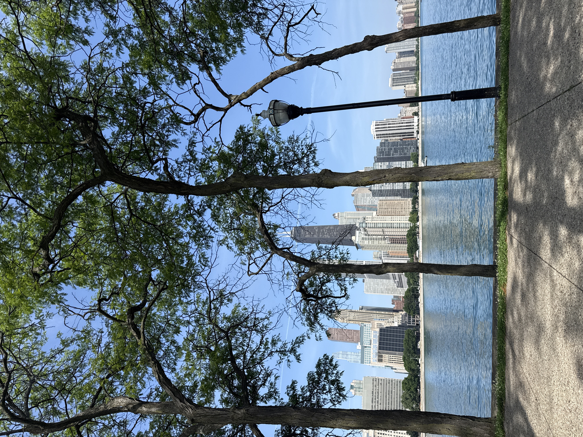 The image shows a view of the Chicago skyline across a body of water, framed by trees. In the foreground, the rough texture of a paved pathway is visible, with shadows of leaves cast upon it. To the left of the pathway, a strip of green grass with small white flowers separates it from the water. The body of water, likely Lake Michigan, is a calm blue with gentle ripples.
Several trees with green foliage and bare branches are positioned in the foreground and mid-ground, obscuring parts of the view. A black lamppost with a decorative lantern stands among the trees.
In the background, a dense collection of tall buildings forming the Chicago skyline stretches across the horizon. Notable structures include the distinctive Sears Tower (now Willis Tower) with its angled roof. The sky is a clear, bright blue with faint wisps of clouds, suggesting it is daytime with pleasant weather. The overall scene evokes a sense of urban beauty and tranquility, with nature elements softening the imposing cityscape. No people are visible in the image. There is no visible text.