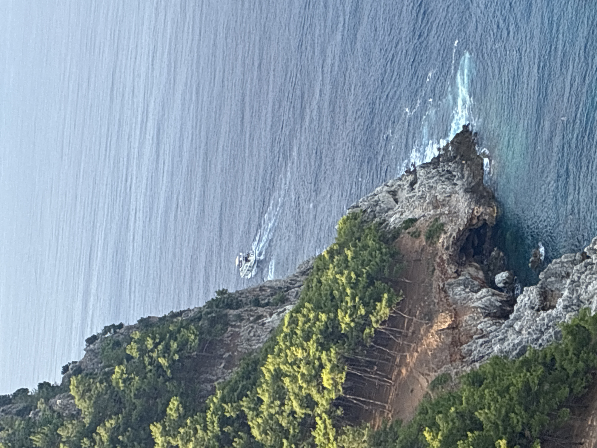 This is a high-angle, full shot of a rocky, tree-covered cliff face with the blue sea. A white motorboat is visible in the distance, leaving a wake as it moves away from the shore. The vegetation on the cliff is dense with a variety of green trees, some appearing to grow at an angle. The rock formations are rough and textured, with visible crevices and caves near the waterline. The sea is a deep blue, with lighter shades near the shore due to shallower depths and light reflection. This scene is consistent with the coastal landscape found in Alanya, Turkey, particularly along its rugged Mediterranean shoreline. There are no people visible in the image.