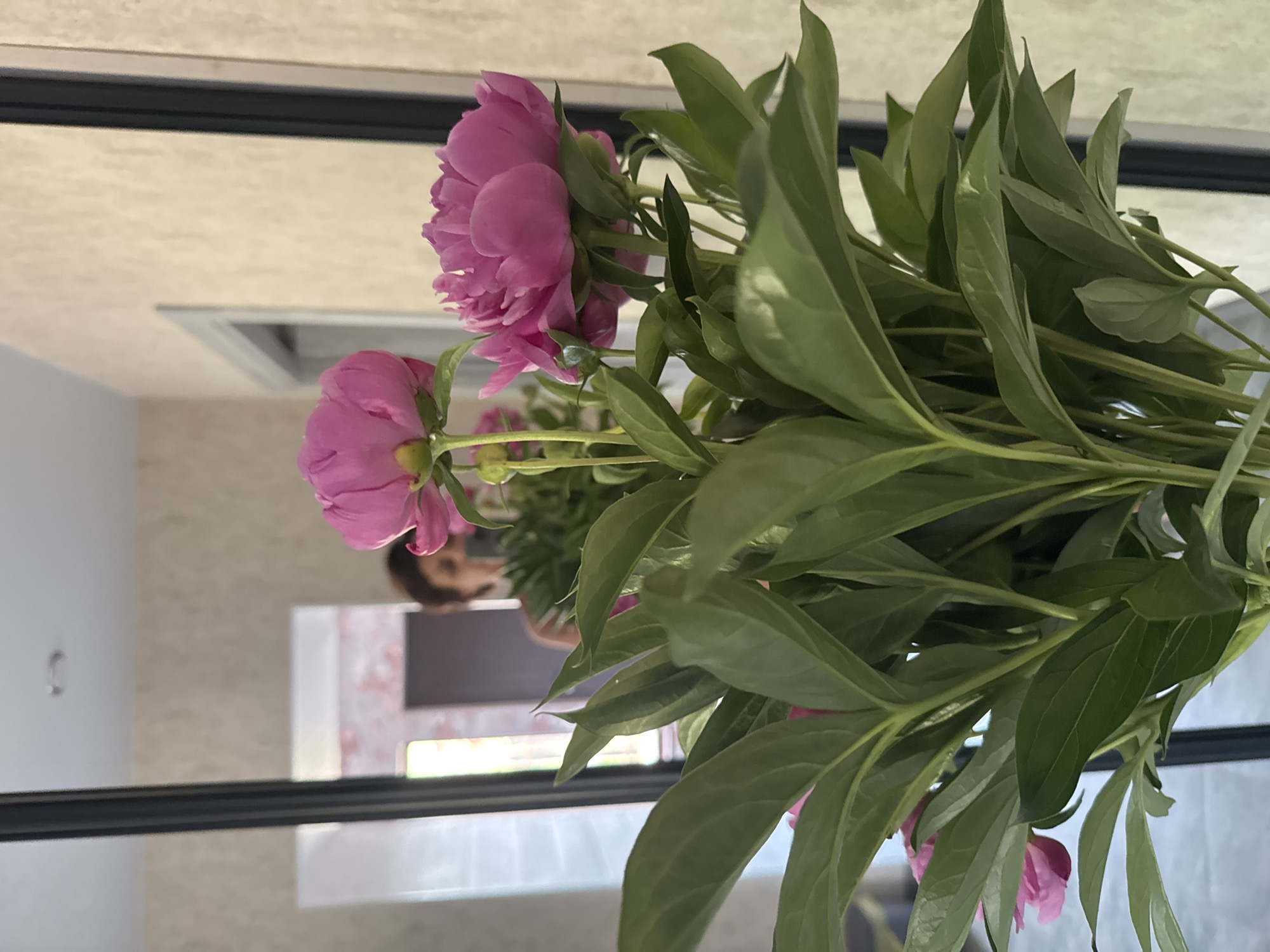 A close-up, eye-level shot showcases a bouquet of vibrant pink peonies, their lush petals and green leaves filling the foreground. The blooms are the primary subject, with several fully open and others in bud. Behind the flowers, a mirror reflects a woman's upper body and head, suggesting she is the one holding or arranging the bouquet. She is looking down at the flowers, and her face is partially obscured by the bouquet. The background of the reflection reveals an indoor setting with neutral-toned walls and a doorway. The overall scene is softly lit, highlighting the texture and color of the peonies.