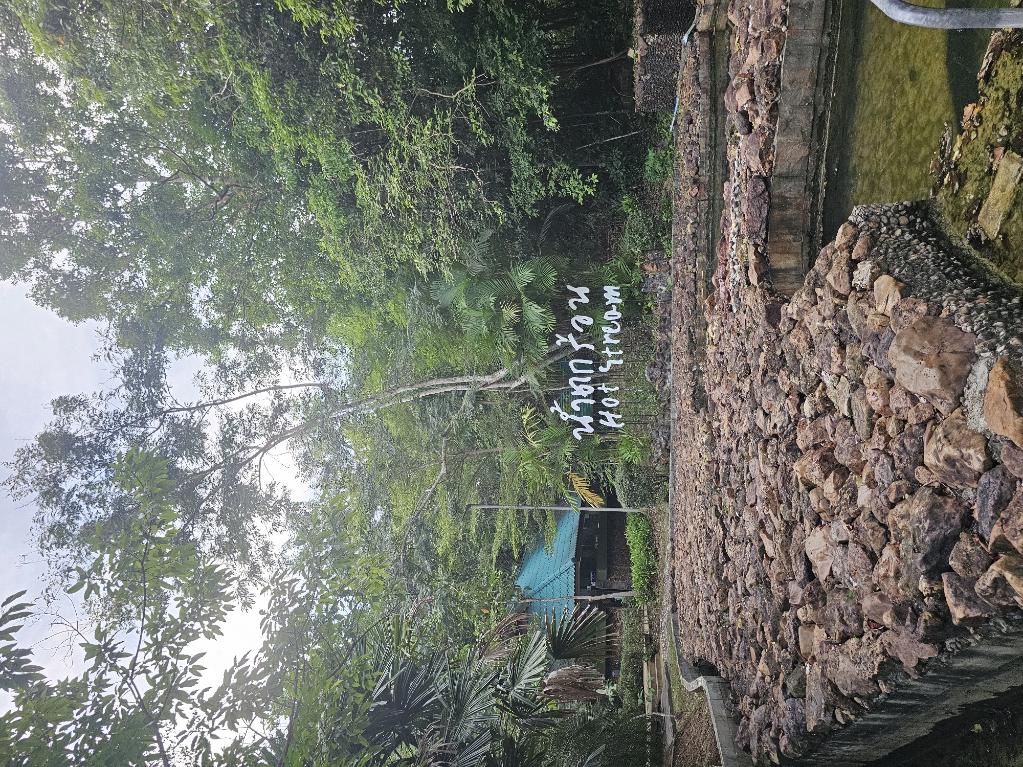 This is a full shot, outdoor, eye-level, eye-level perspective of a natural hot spring area in Tambon Khlong Thom Nuea, Thailand. The scene is dominated by lush green foliage and trees, creating a dense forest canopy. In the mid-ground, a building with a teal-colored roof is visible, nestled amongst the trees. In front of the building, a sign with white text in Thai script and English reads "Hot Stream." The foreground is occupied by a series of man-made pools or channels, lined with concrete walls and filled with numerous large, reddish-brown rocks. The water in these channels appears murky and green. The sky above is overcast. There are no people visible in the frame.
